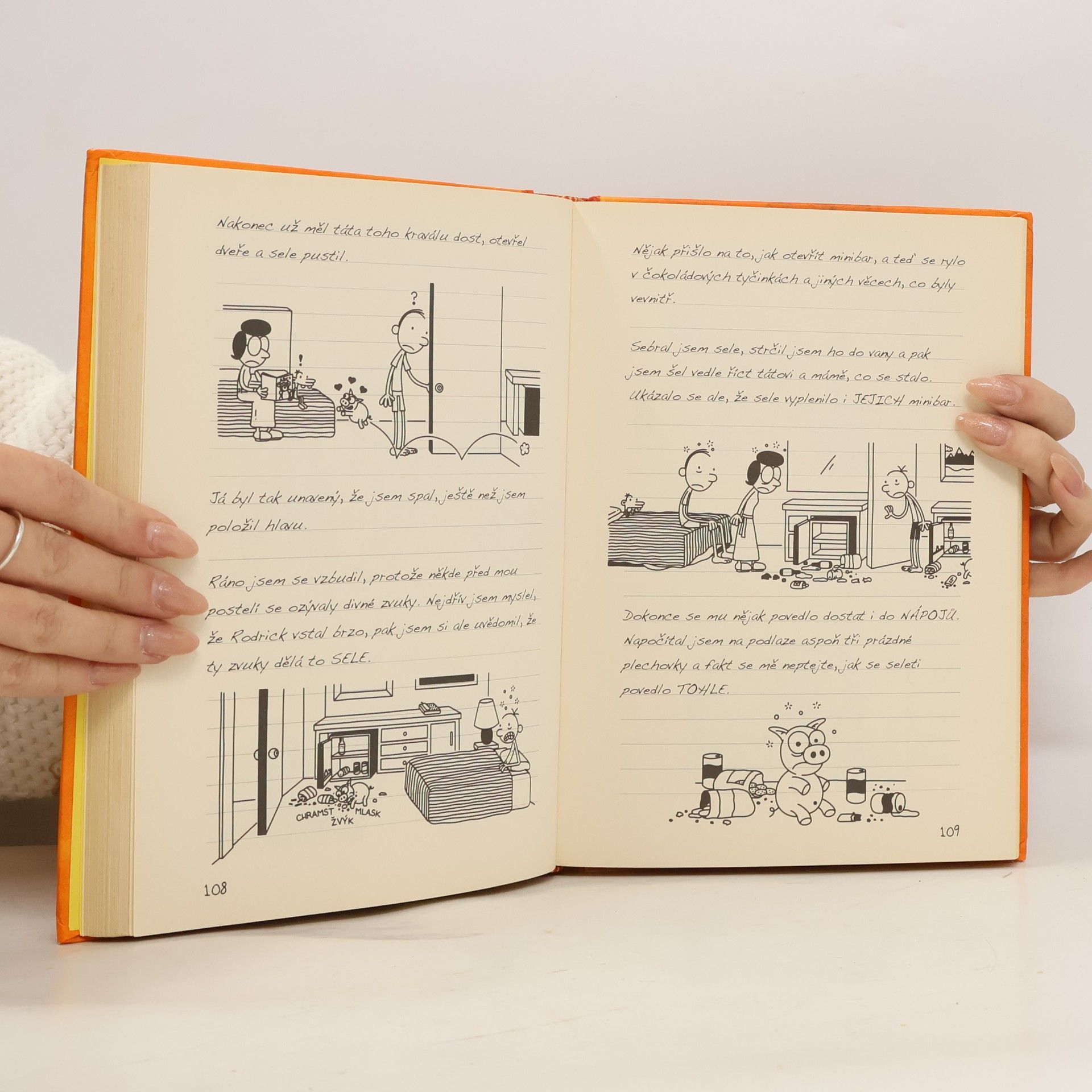 Jeff Kinney Deník malého poseroutky 9. Výlet za všechny peníze