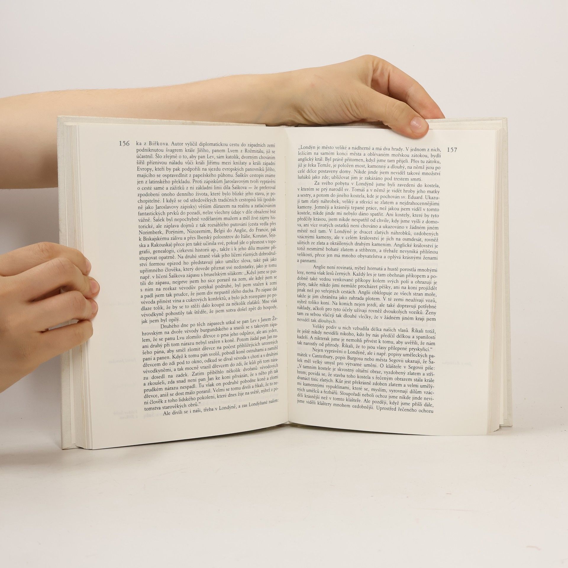 Zdeňka Tichá Cesta starší české literatury