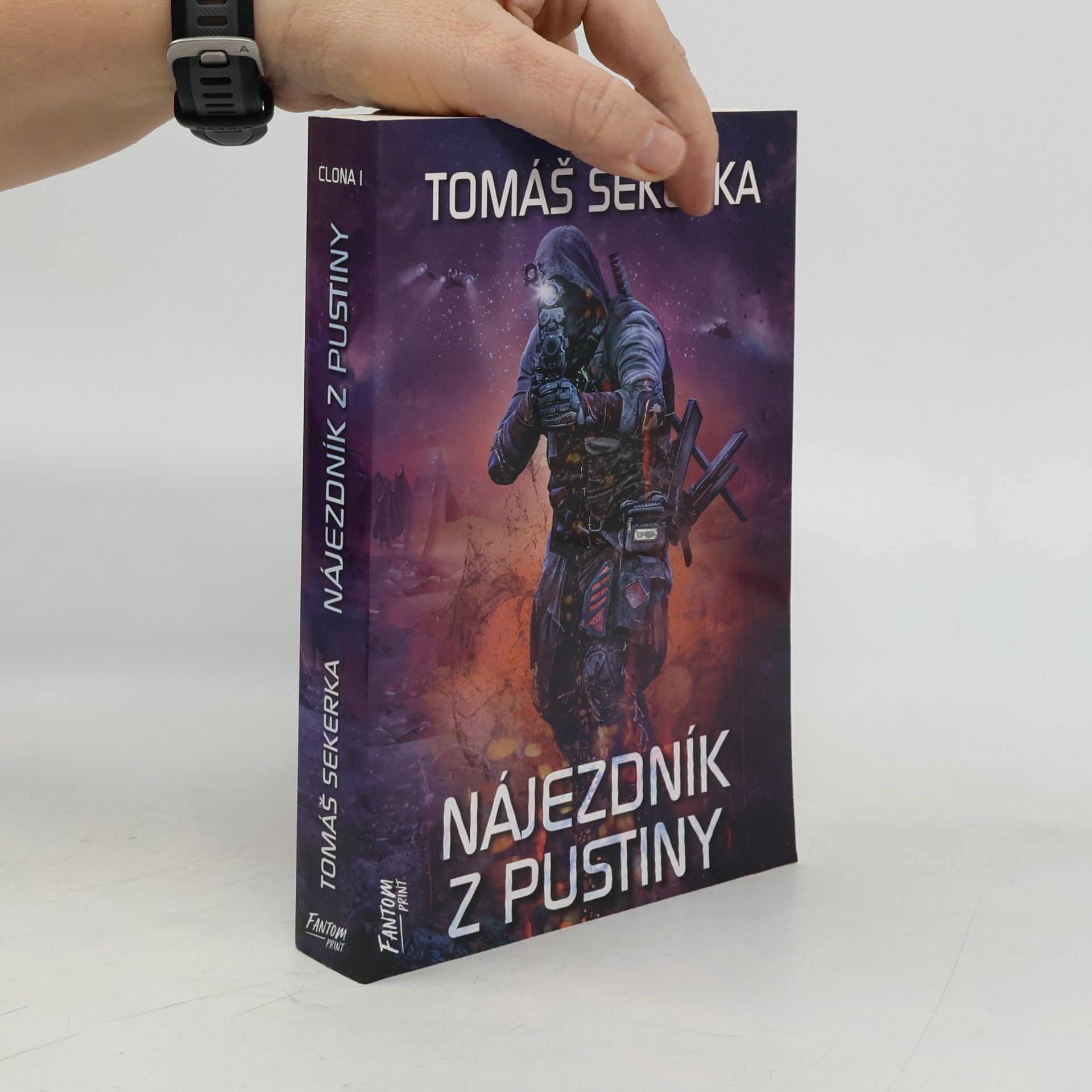 Nájezdník z Pustiny