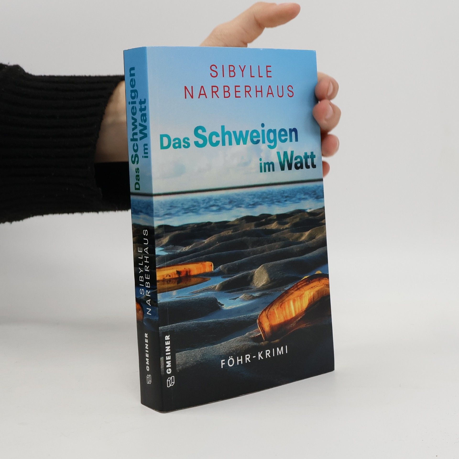 Sibylle Narberhaus Das Schweigen im Watt