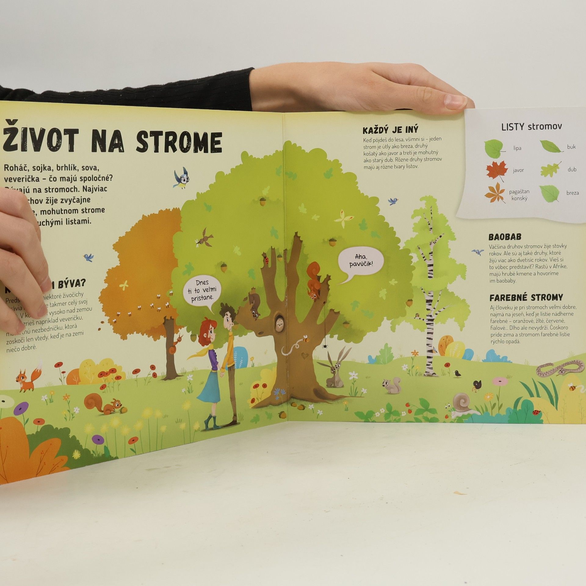 Collectif d'auteurs Čo sa deje na strome