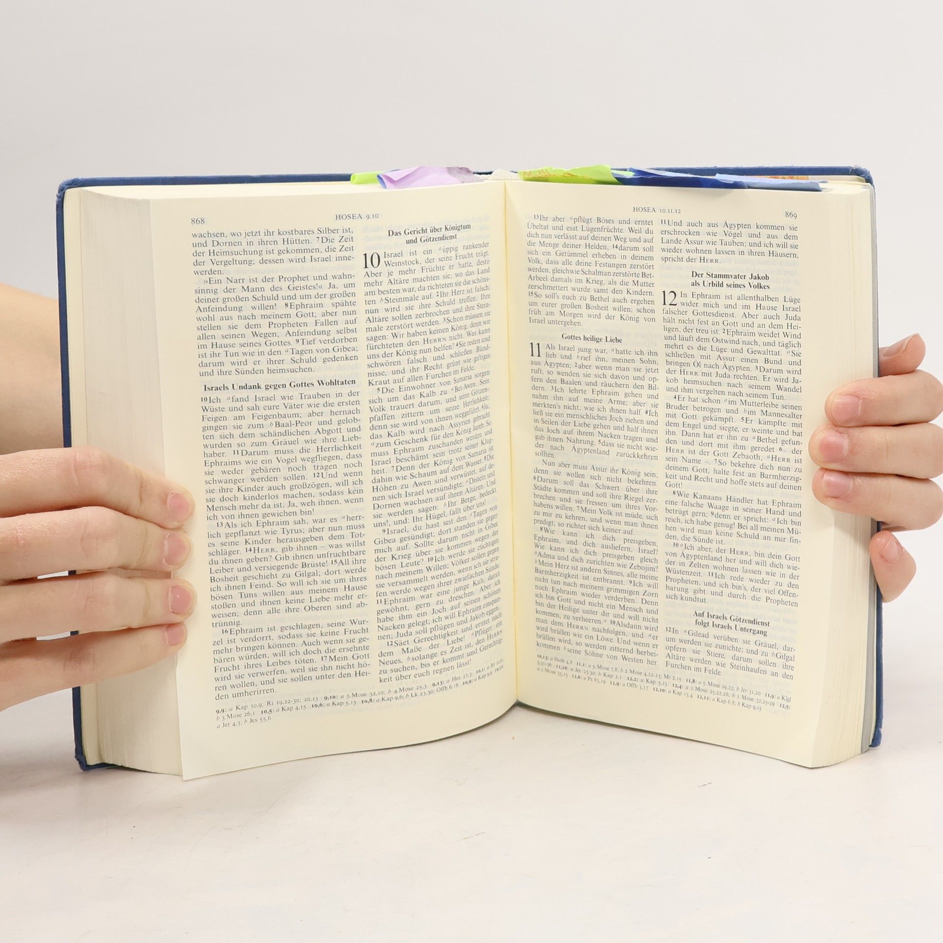 Various authors Die Bibel nach der Übersetzung Martin Luthers, mit Apokryphen, neue Rechtschreibung, schwarz (Nr. 1241)