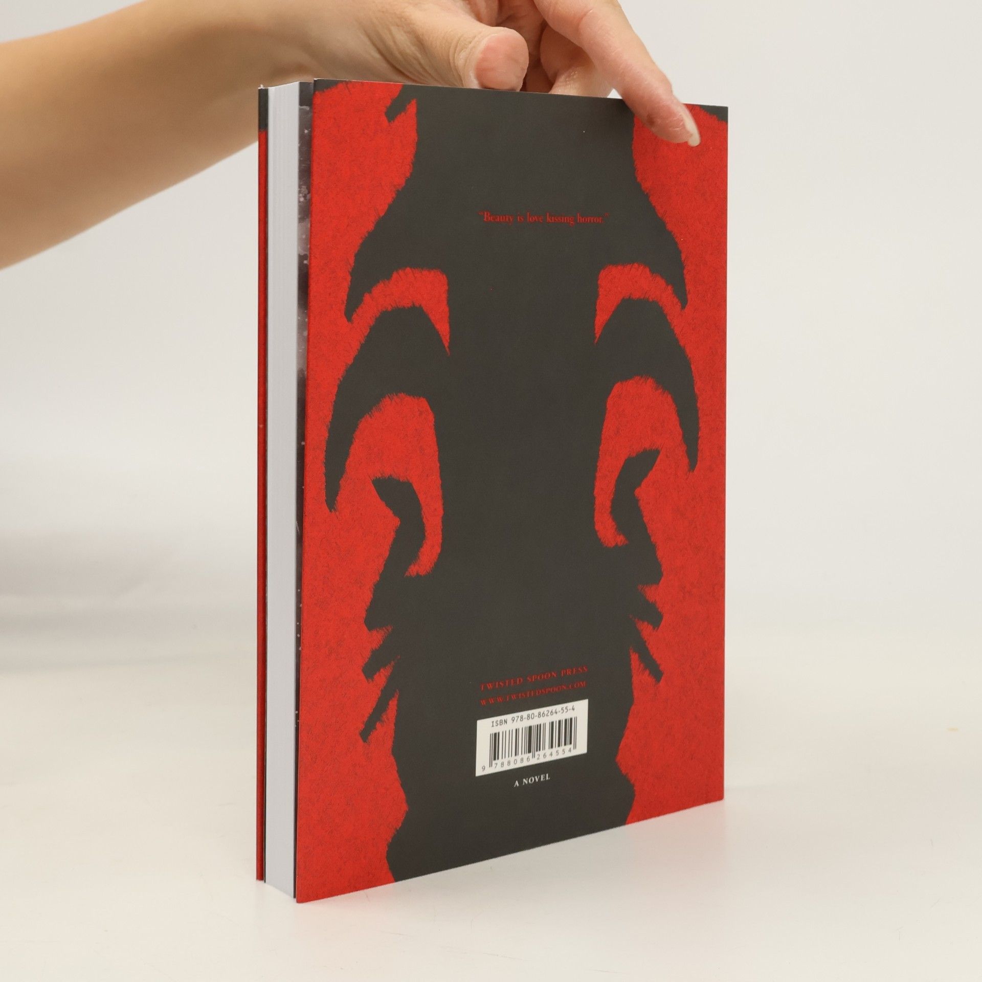 Ladislav Klíma The Sufferings of Prince Sternenhoch: A Grotesque Romanetto