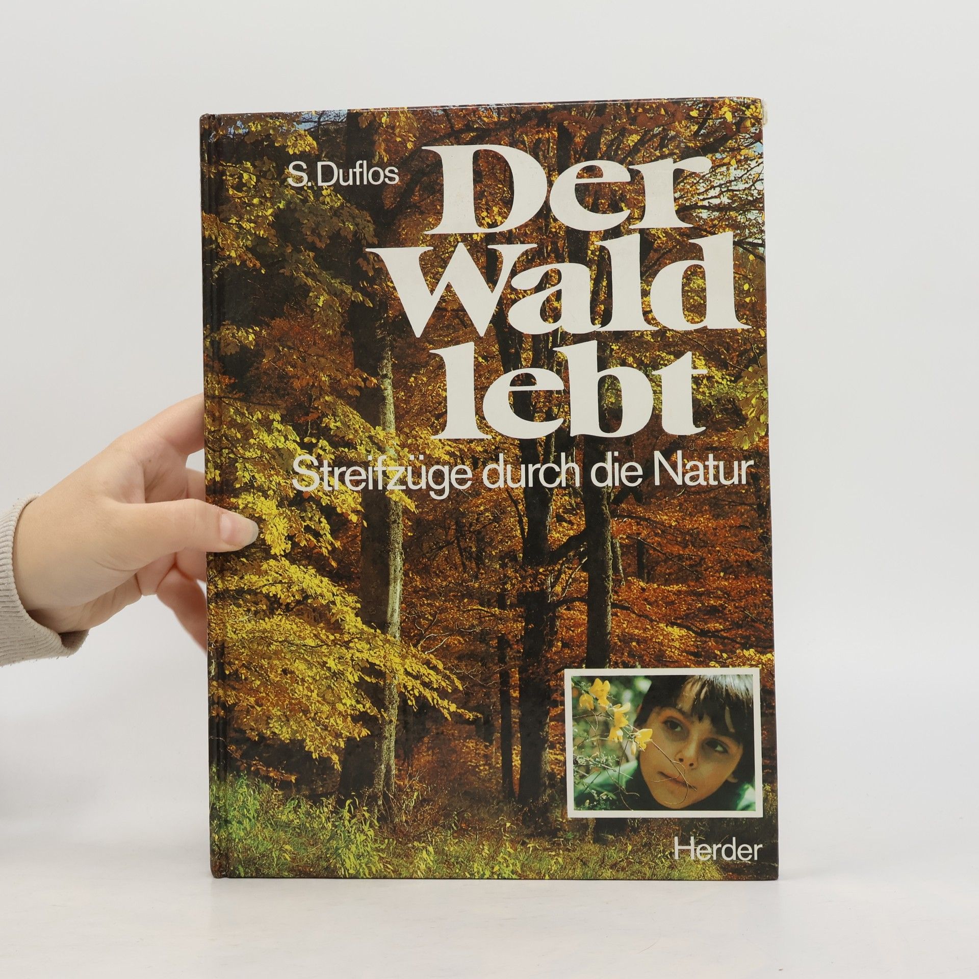 Der Wald lebt
