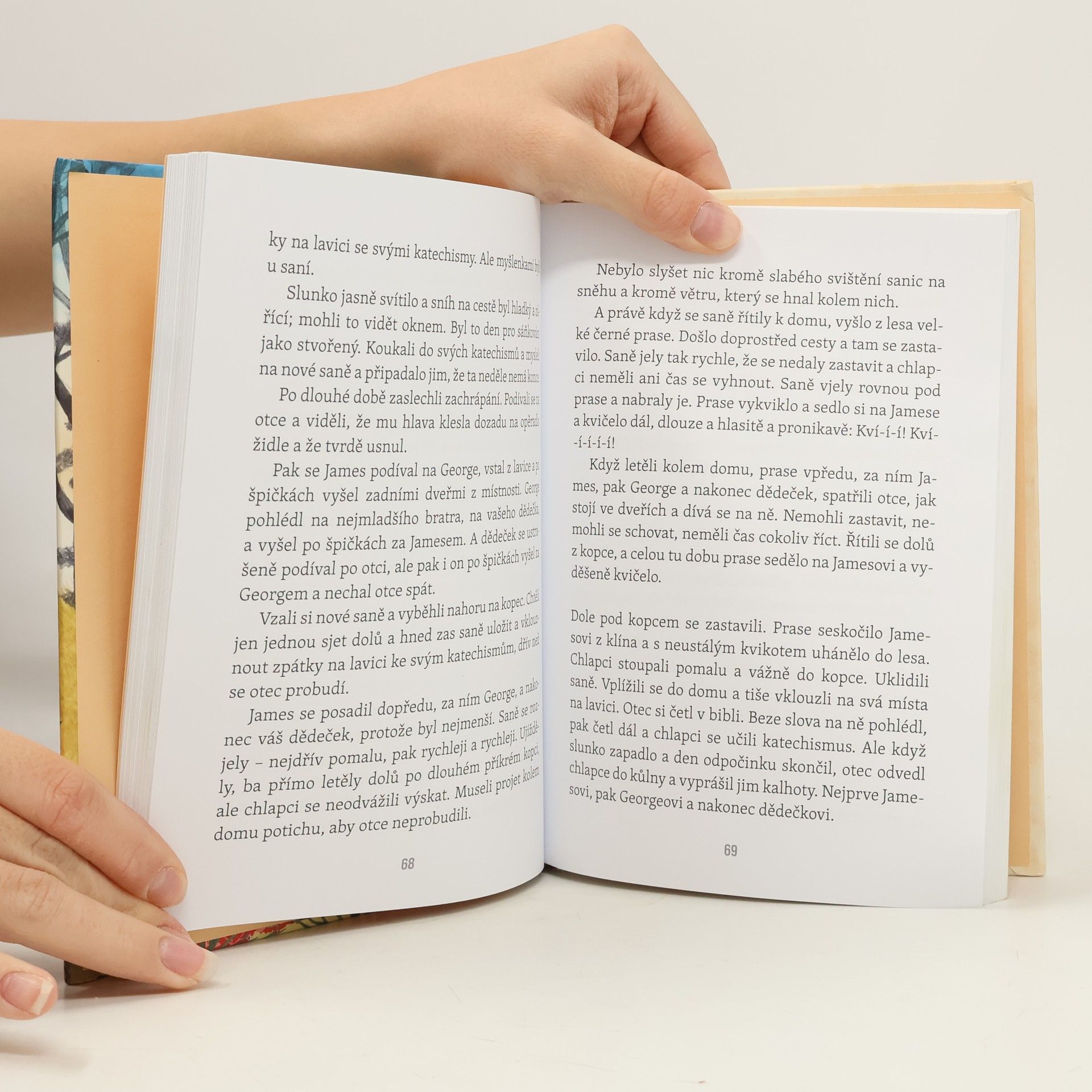 Laura Ingalls Wilder Malý dům ve Velkém lese