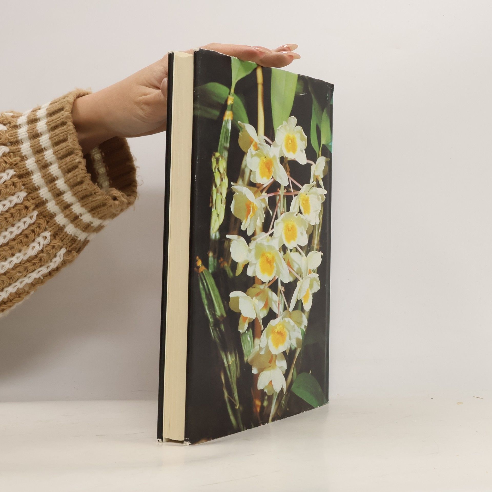 Walter Richter Orchideen : Pflegen, vermehren, züchten