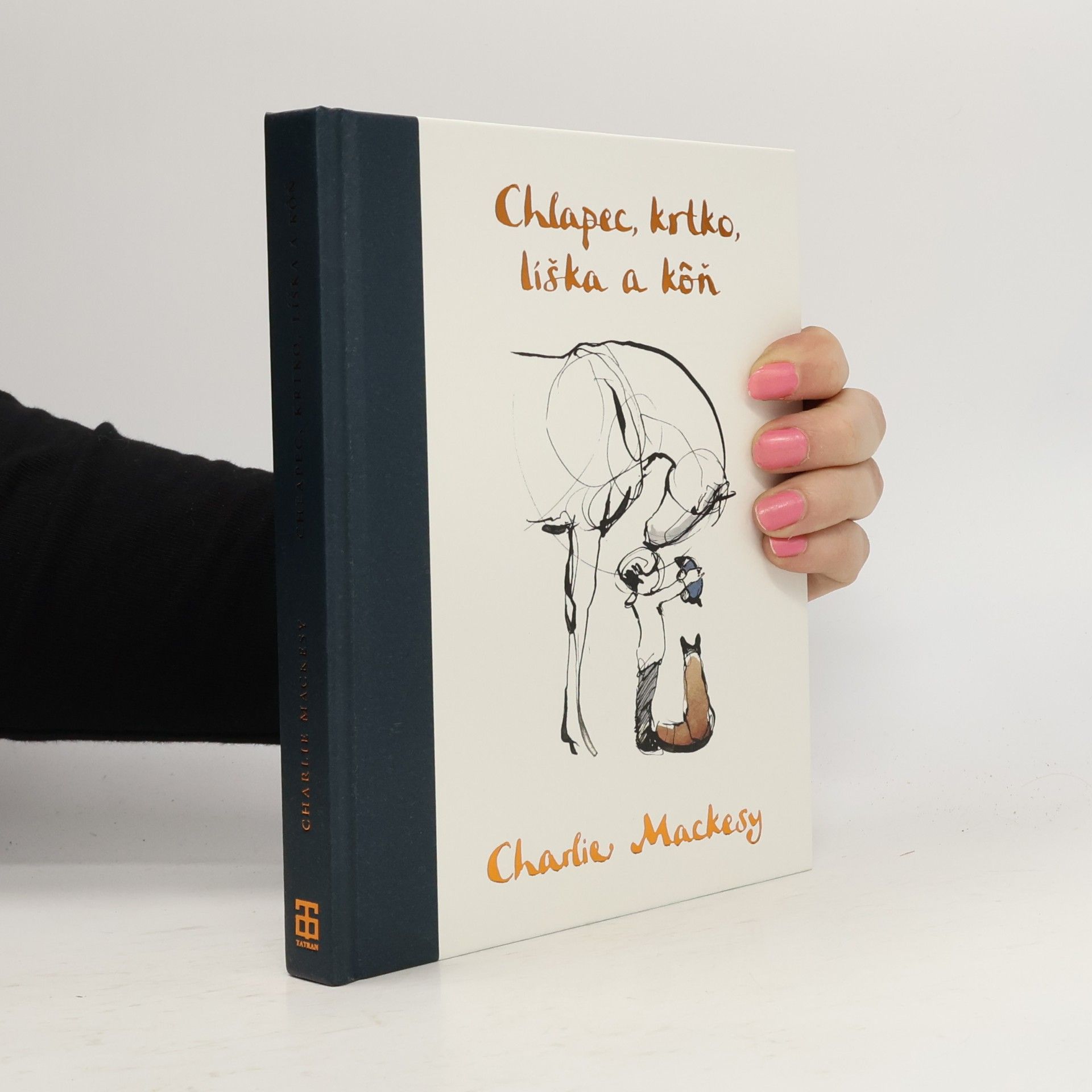 Charlie Mackesy Chlapec, krtko, líška a kôň