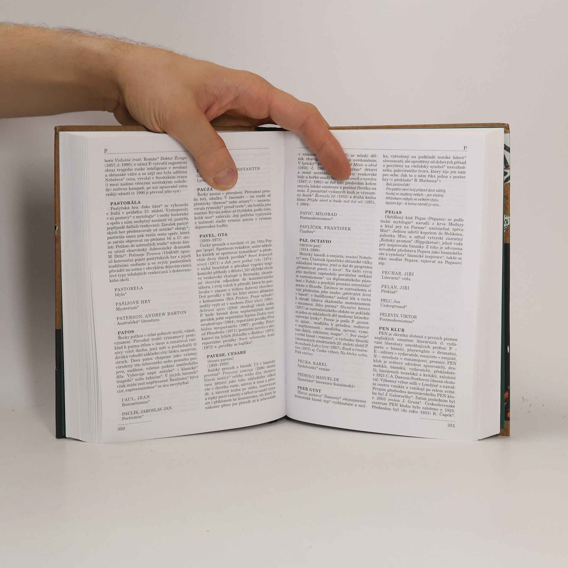 Dušan Karpatský Labyrint literatury