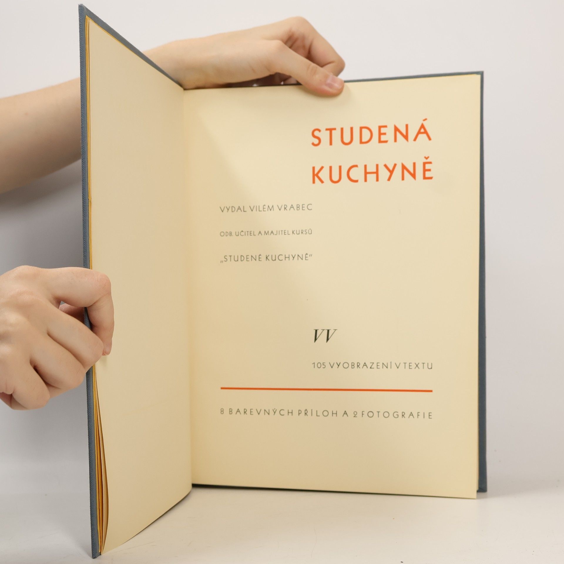 Vilém Vrabec Studená kuchyně