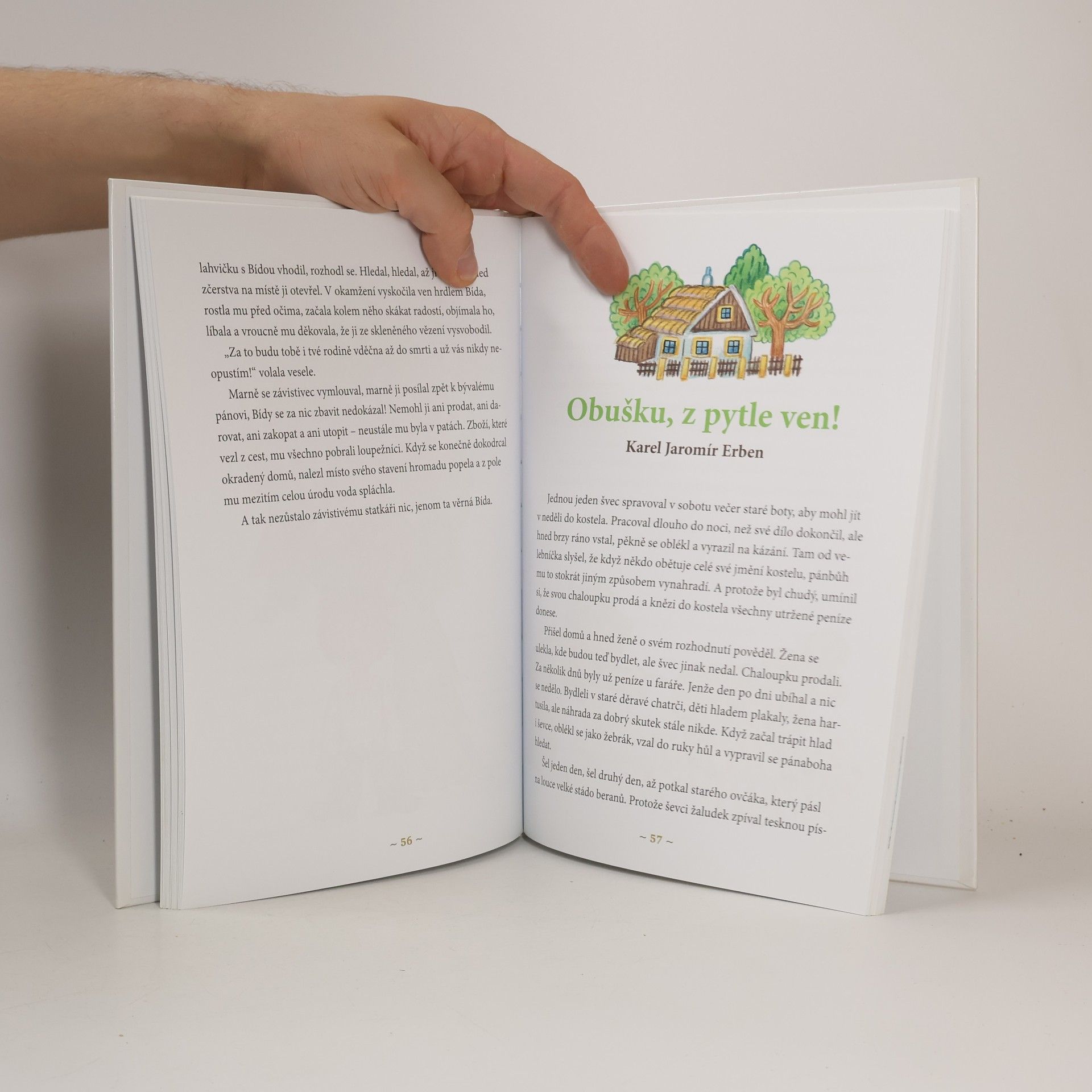 Collectif d'auteurs Zlatá truhlice českých pohádek