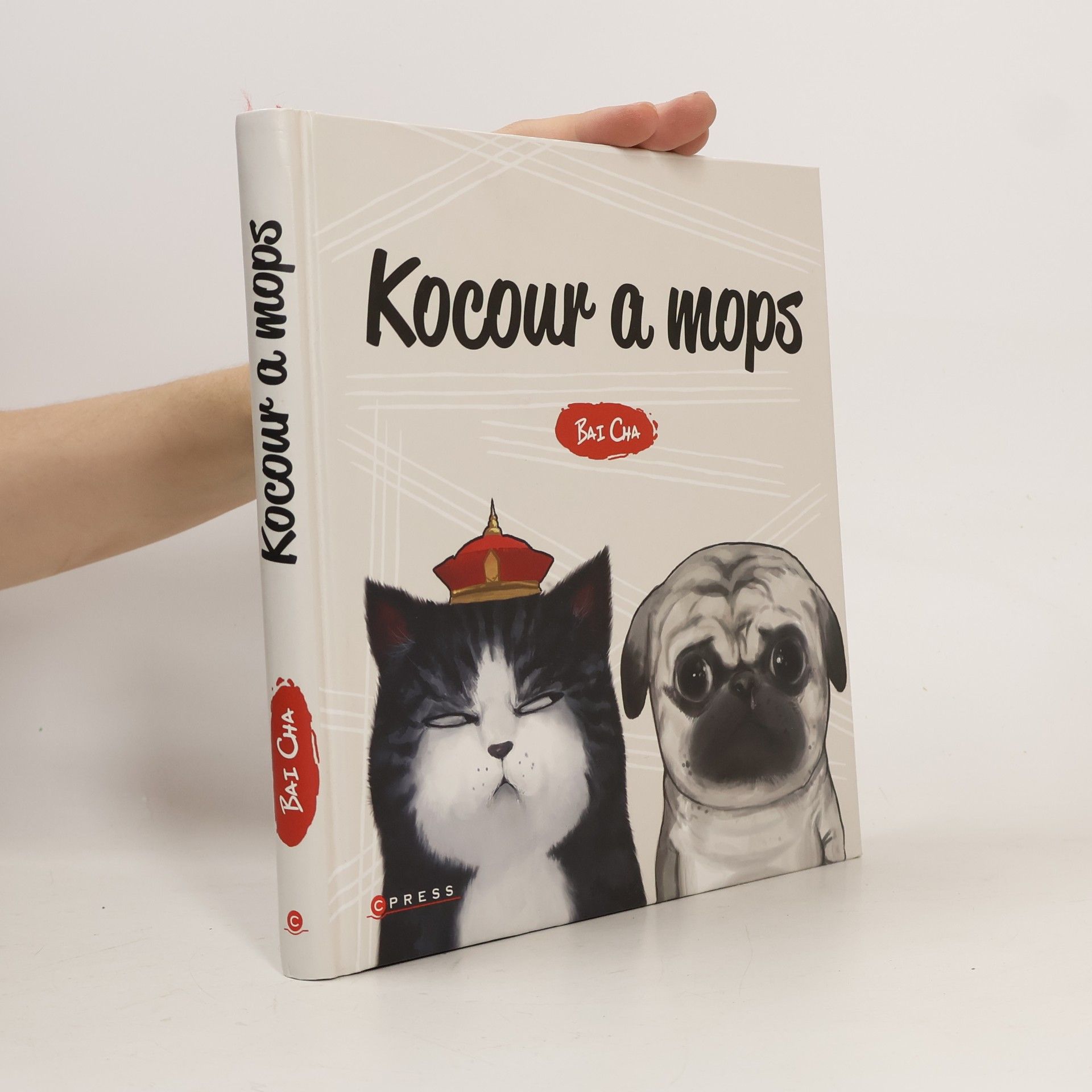 Hana Vašková Kocour a mops