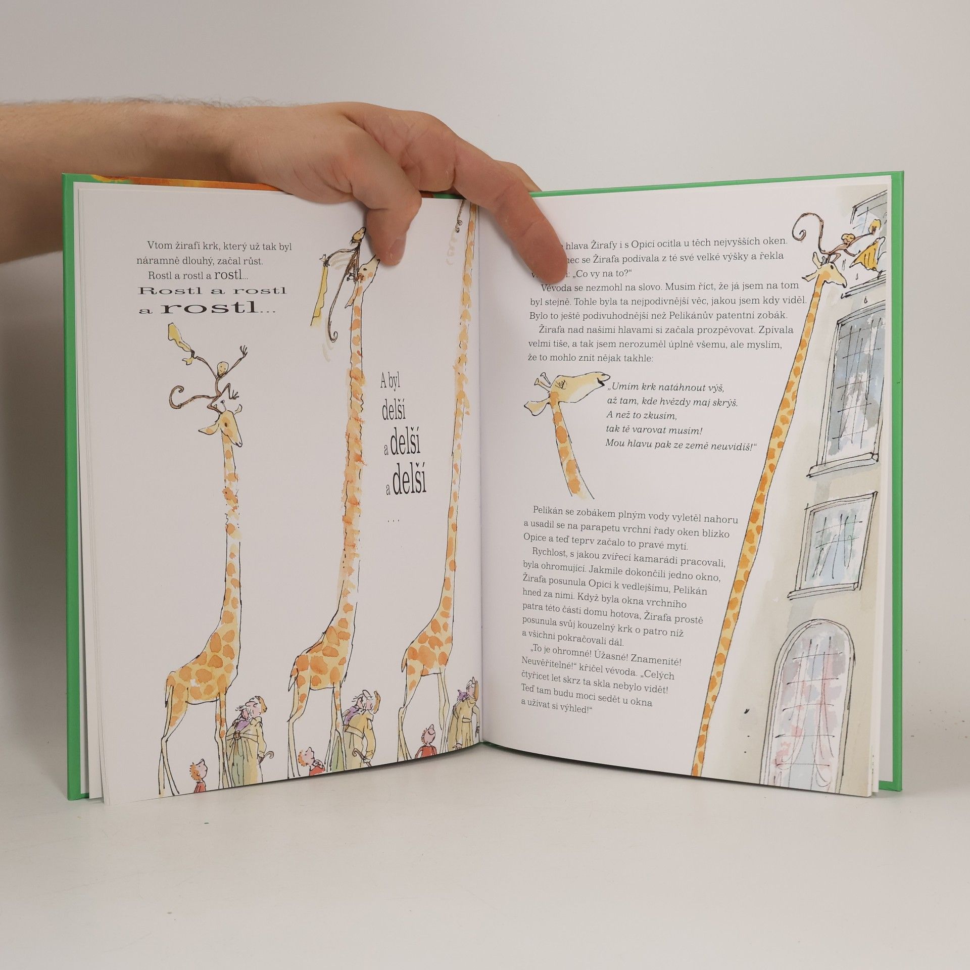 Roald Dahl Žirafa, pelikán a já