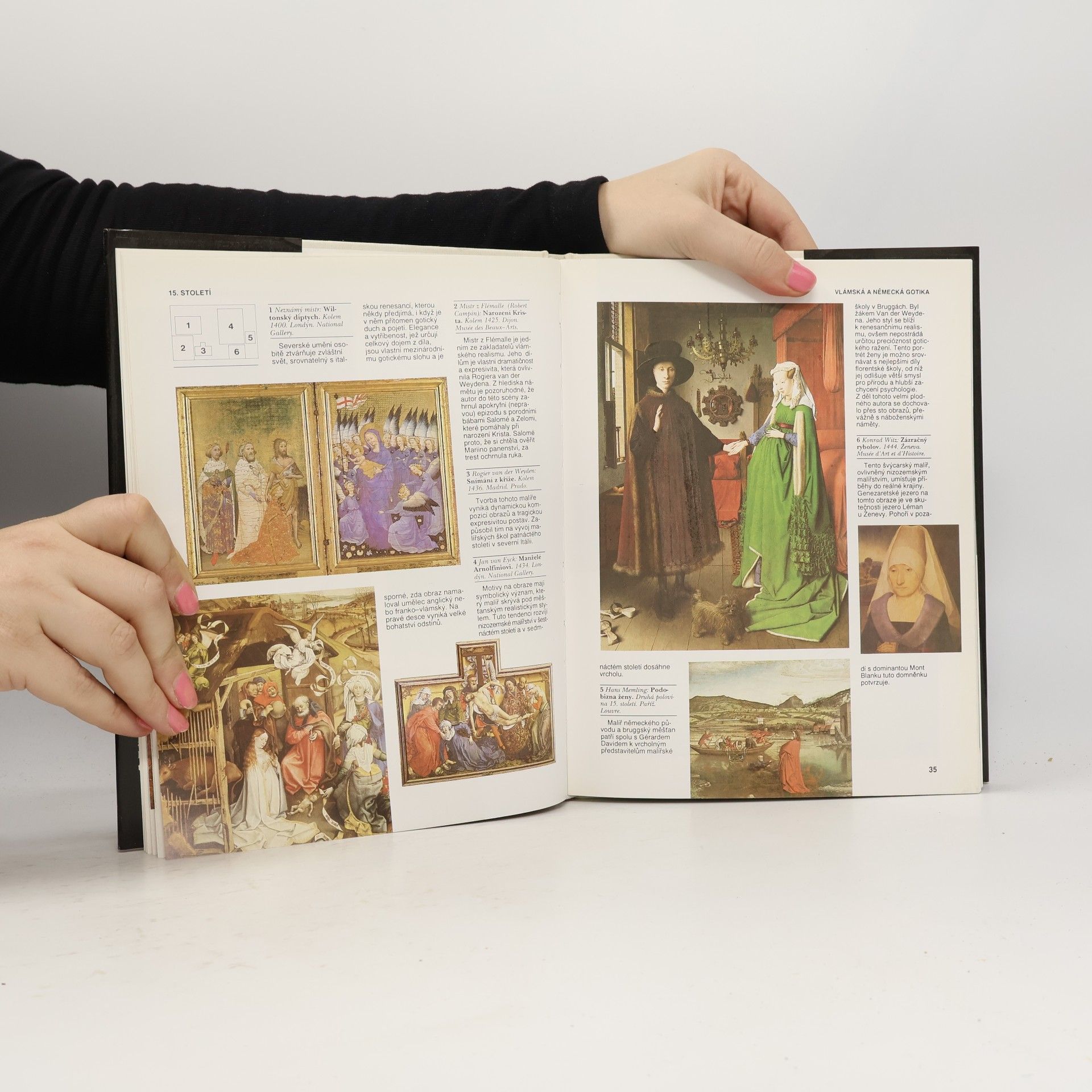 Joan Ramon Triadó Dějiny malířství v obrazech: Vrcholná díla všech epoch a stylů