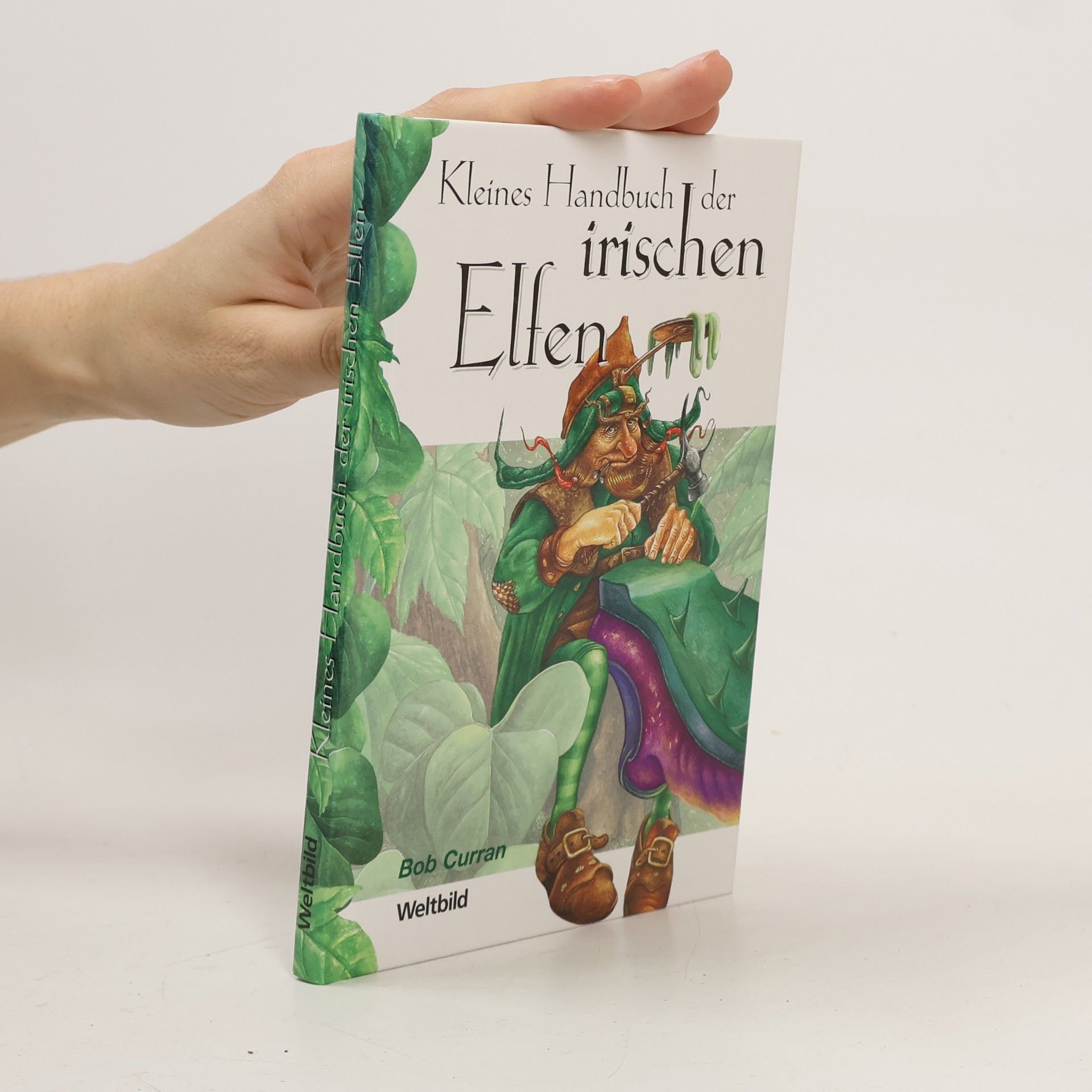 Kleines Handbuch der irischen Elfen