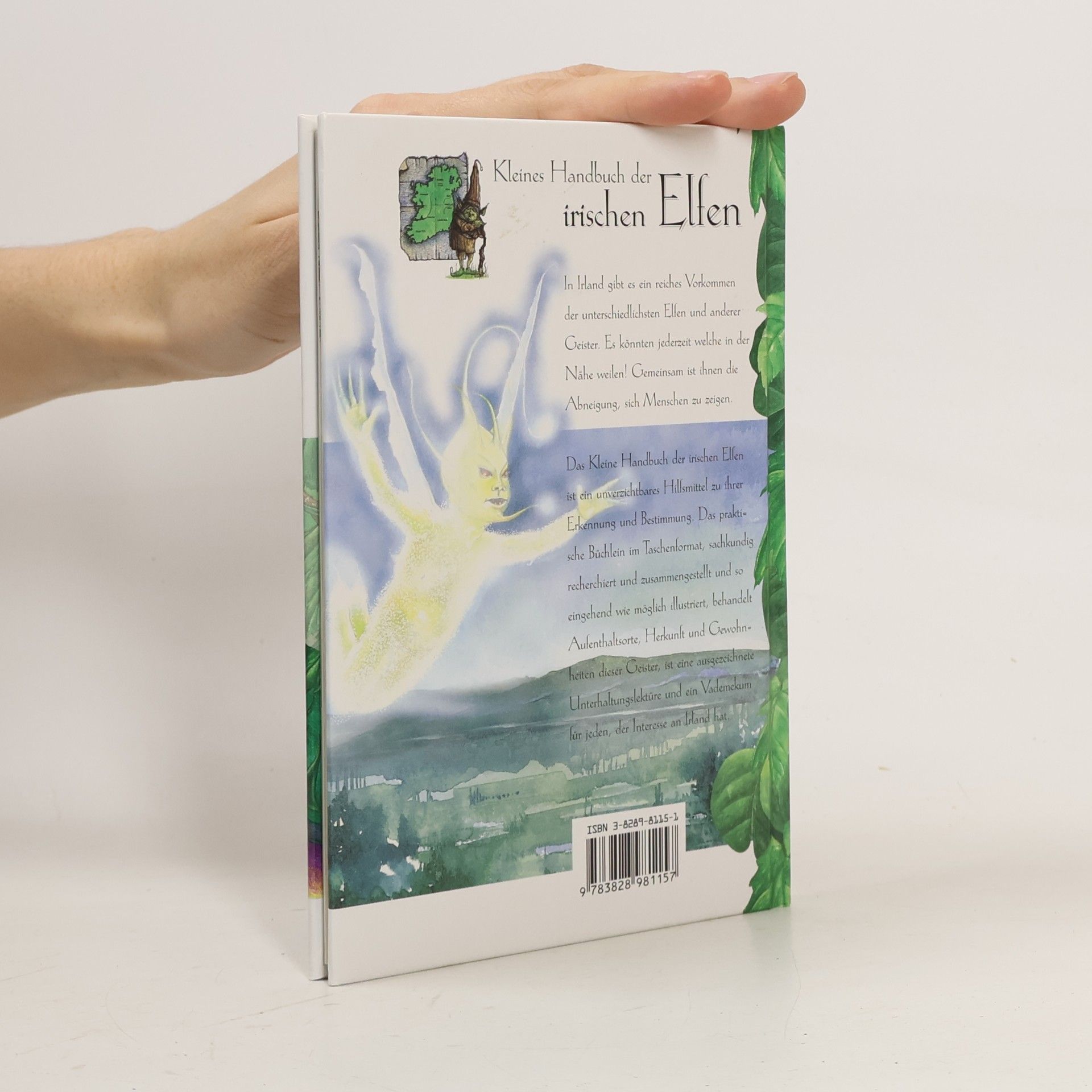 Bob Curran Kleines Handbuch der irischen Elfen