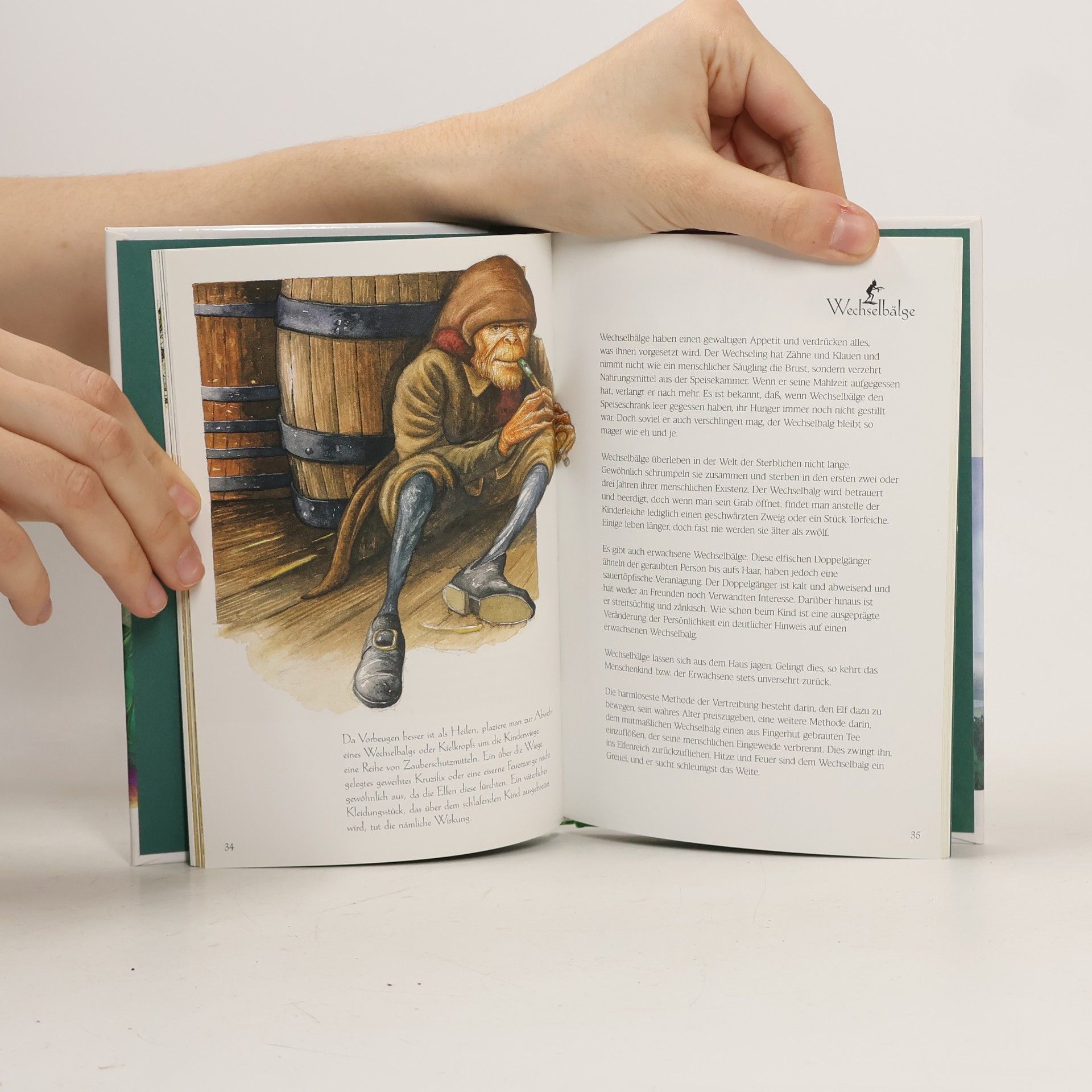 Bob Curran Kleines Handbuch der irischen Elfen