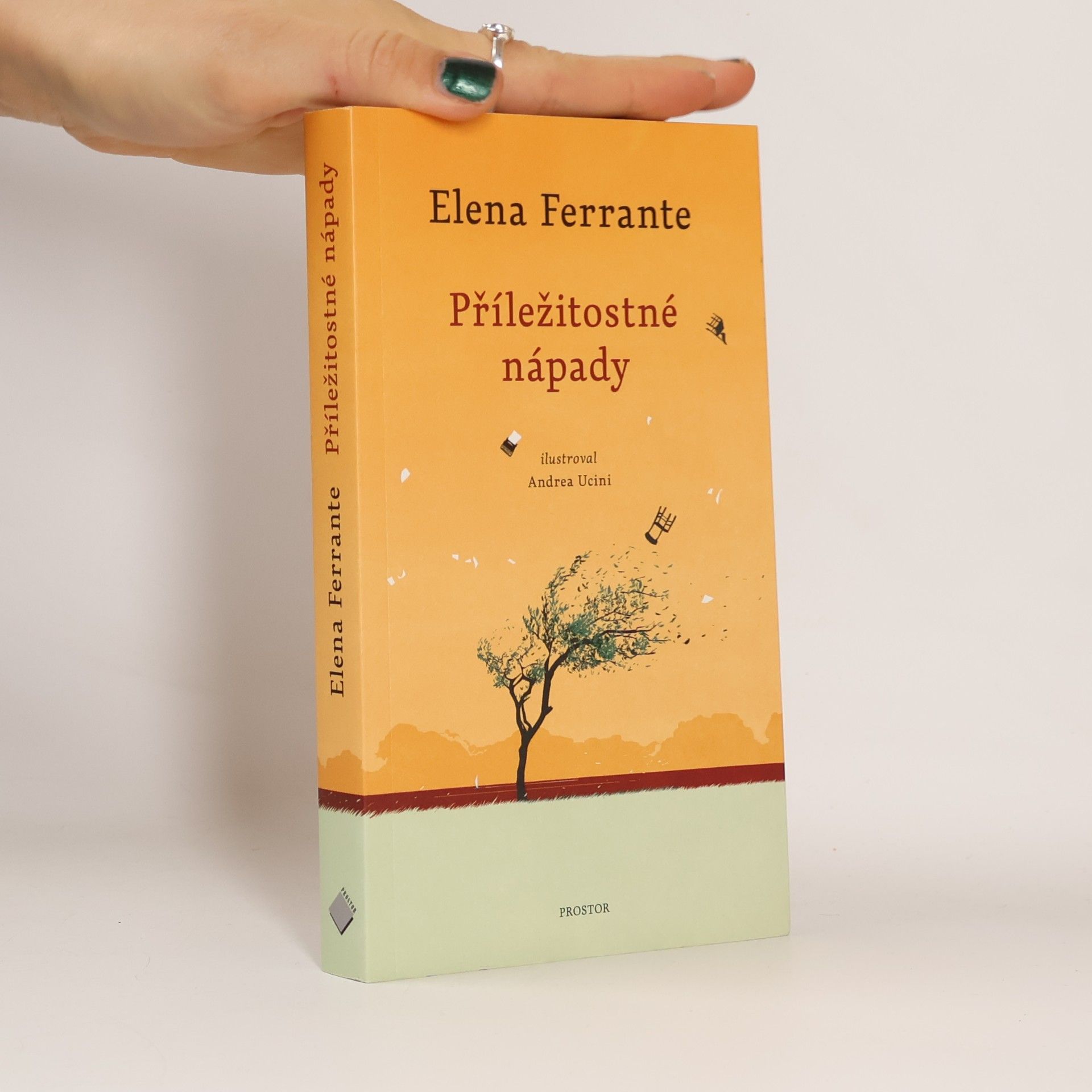 Elena Ferrante Příležitostné nápady