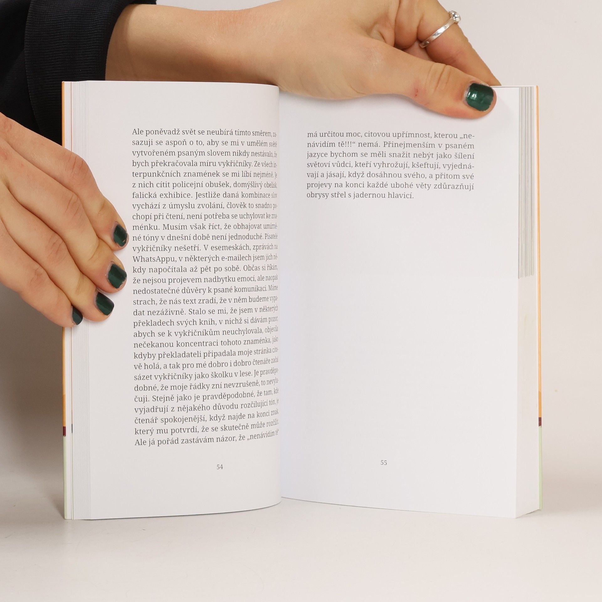 Elena Ferrante Příležitostné nápady