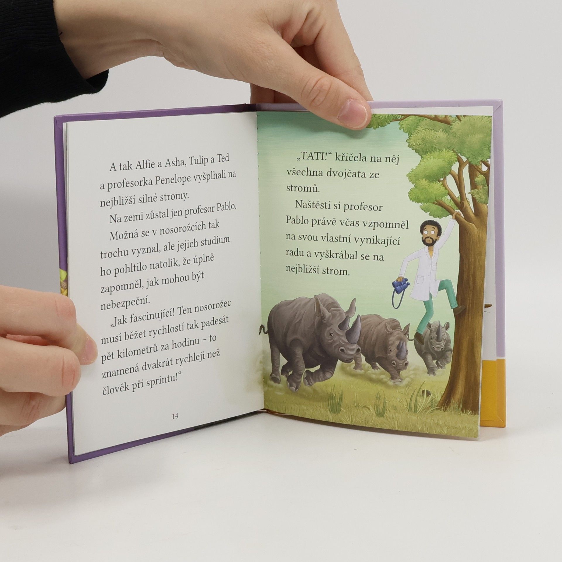 Cressida Cowell Dvojčata pronásledují nosorožce