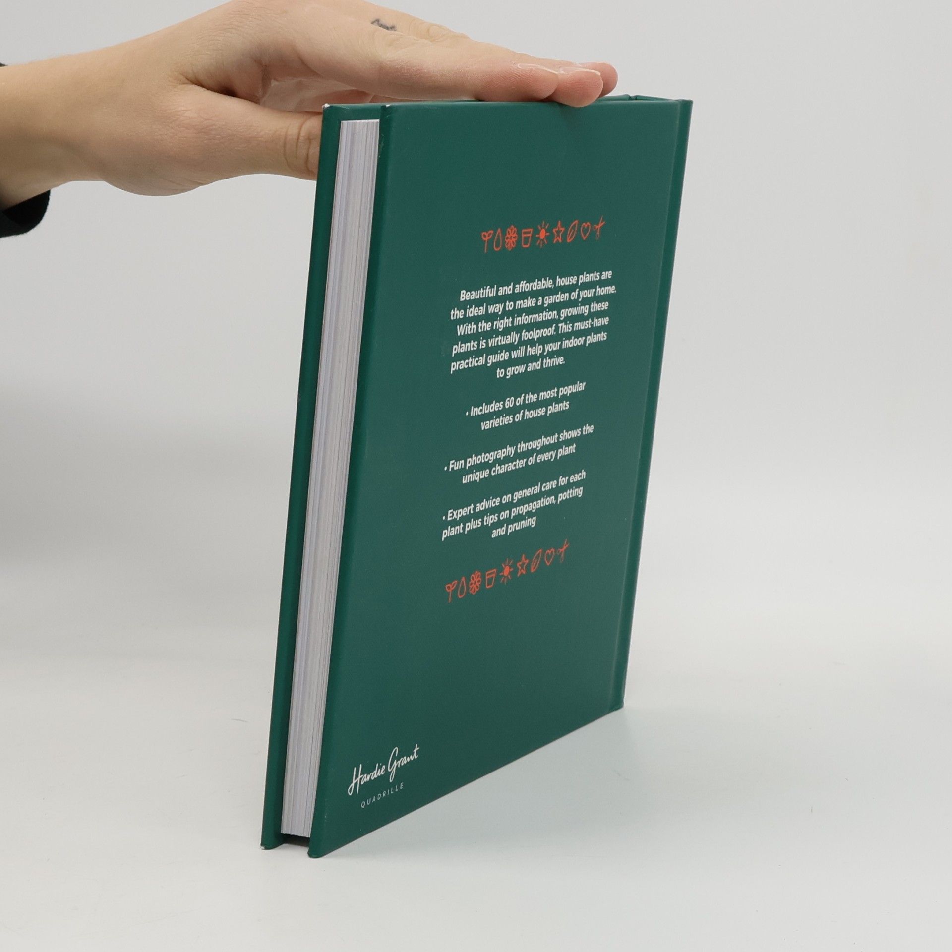 Emma Sibley The Little Book of House Plants and Other Greenery
