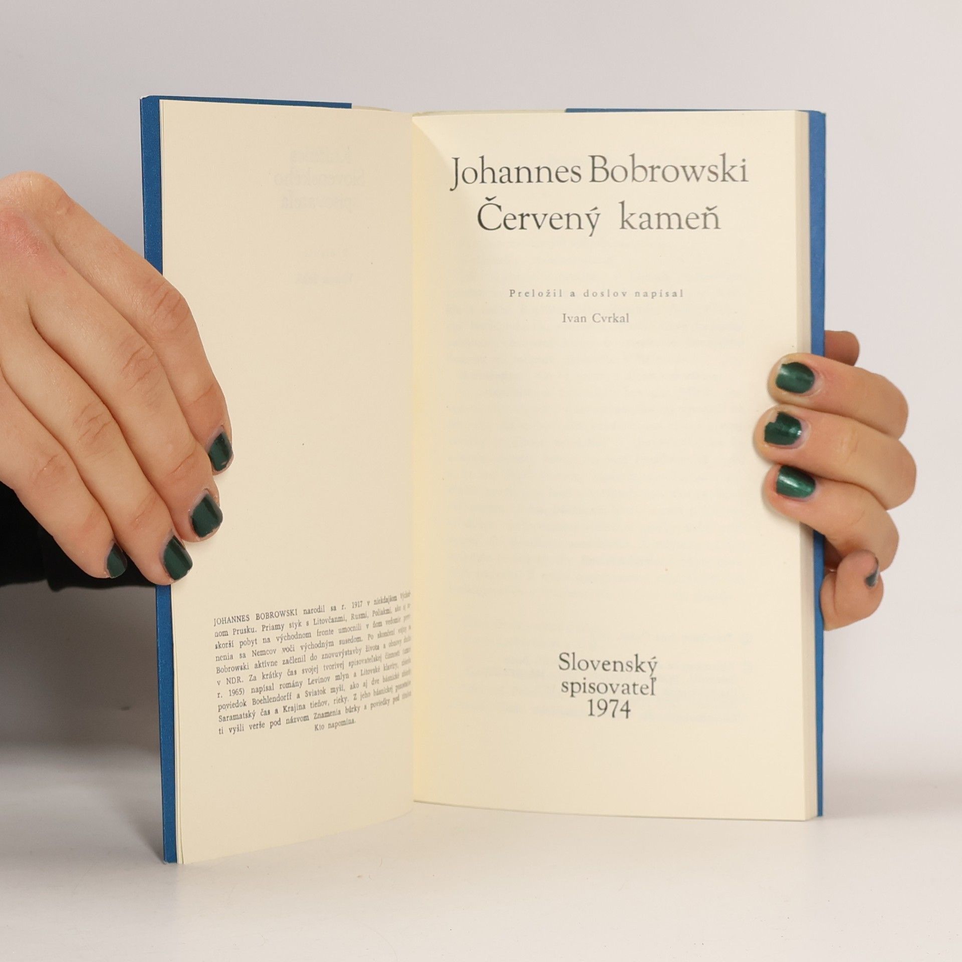 Johannes Bobrowski Červený kameň