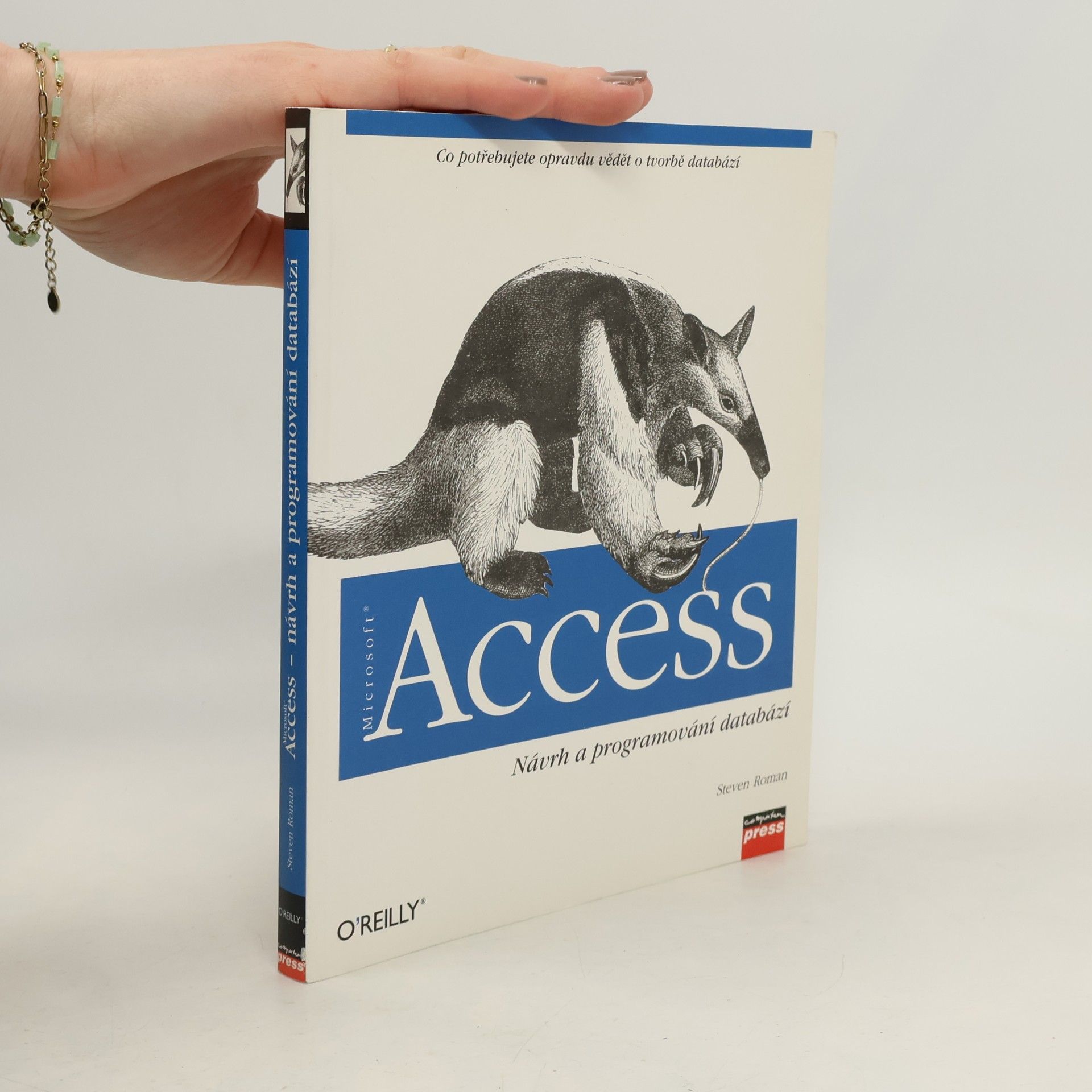 Microsoft Access : návrh a programování databází