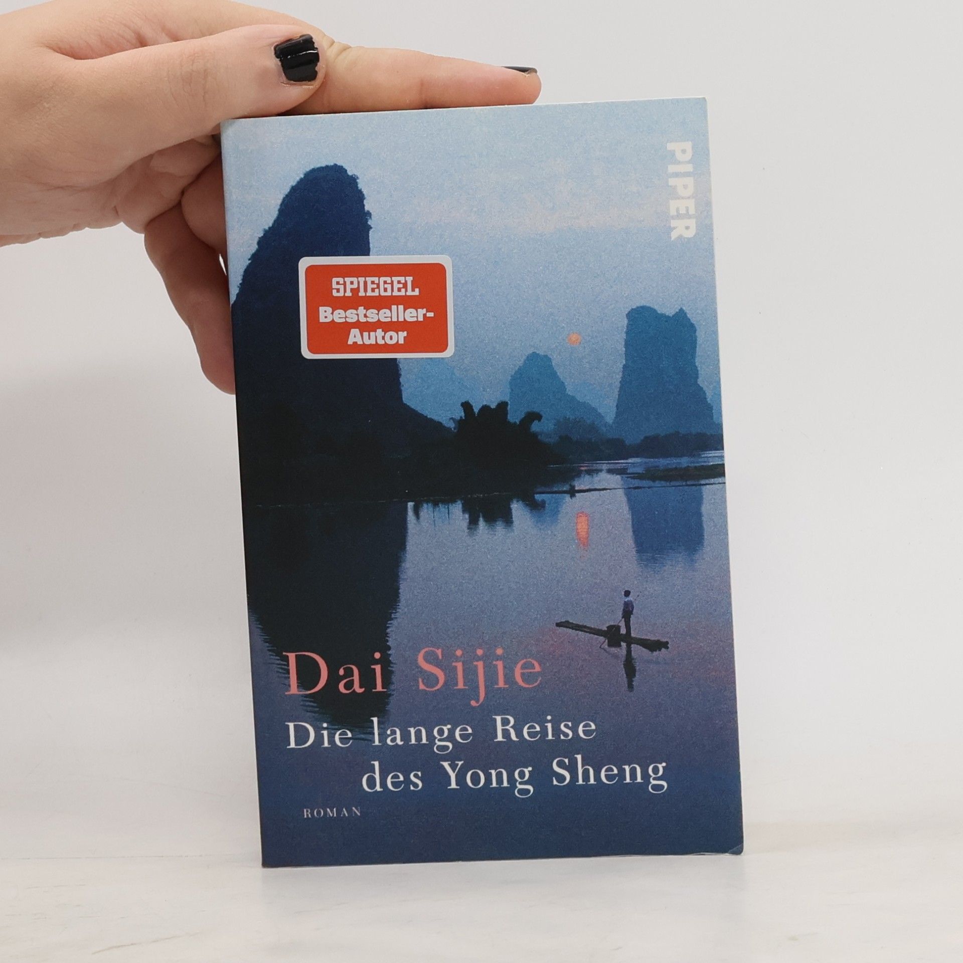Sijie Dai Die lange Reise des Yong Sheng