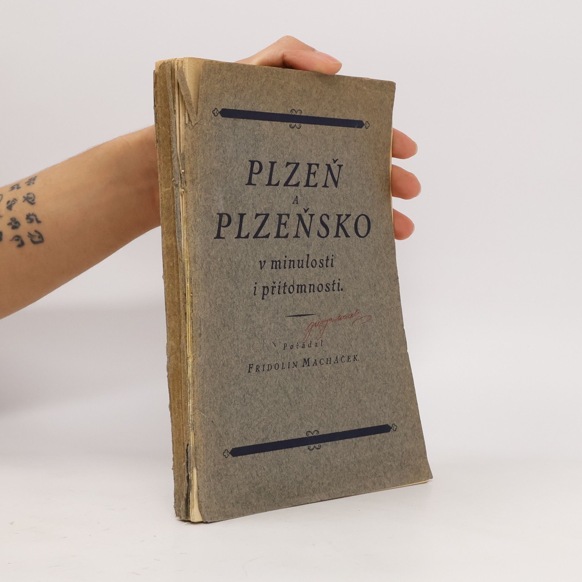 Plzeň a Plzeňsko v minulosti i přítomnosti