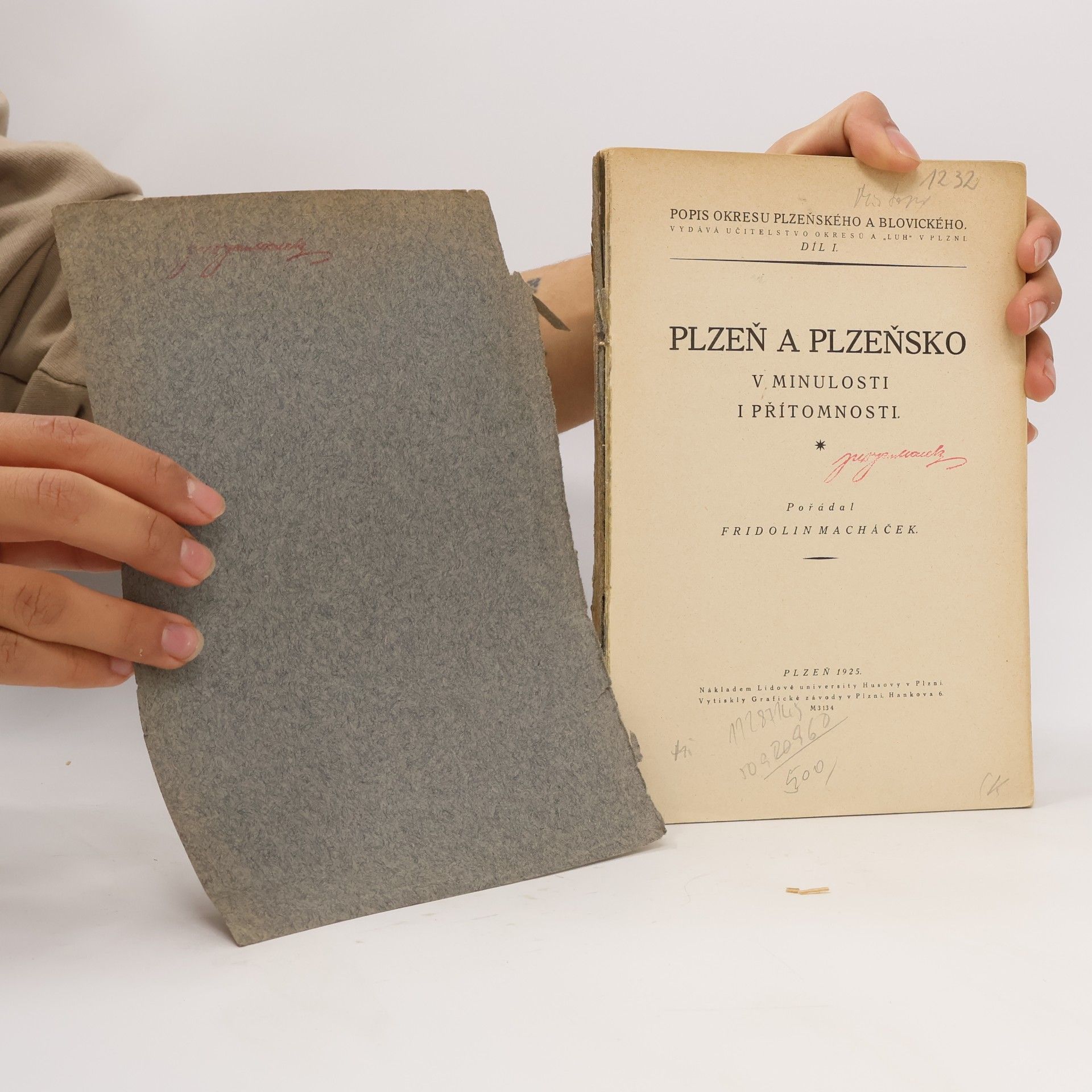 Fridolin Macháček Plzeň a Plzeňsko v minulosti i přítomnosti