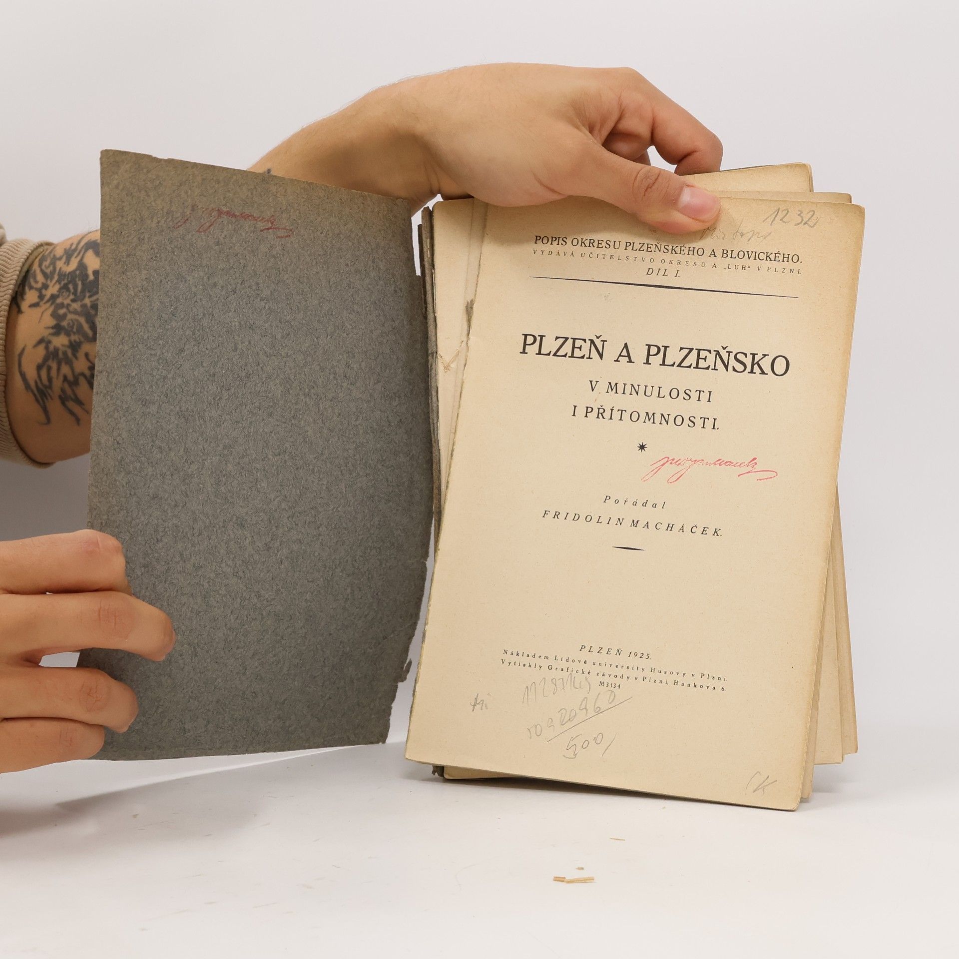 Fridolin Macháček Plzeň a Plzeňsko v minulosti i přítomnosti