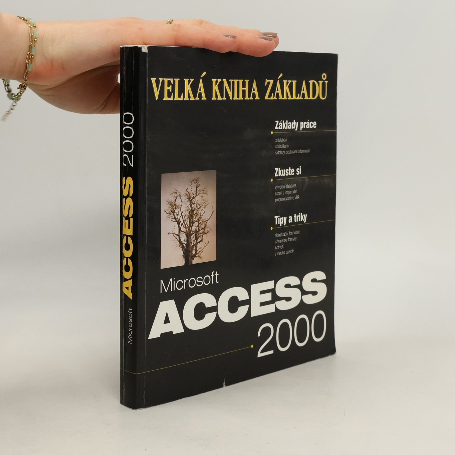 Microsoft Access 2000 velká kniha základů