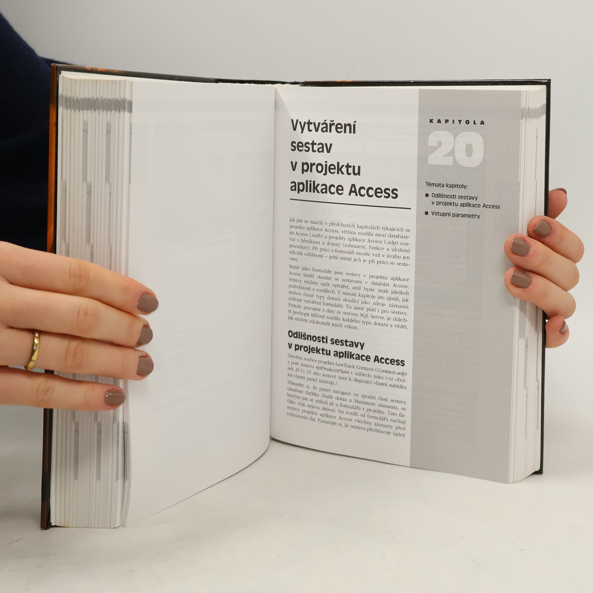 John Viescas Mistrovství v Microsoft Office Access 2003