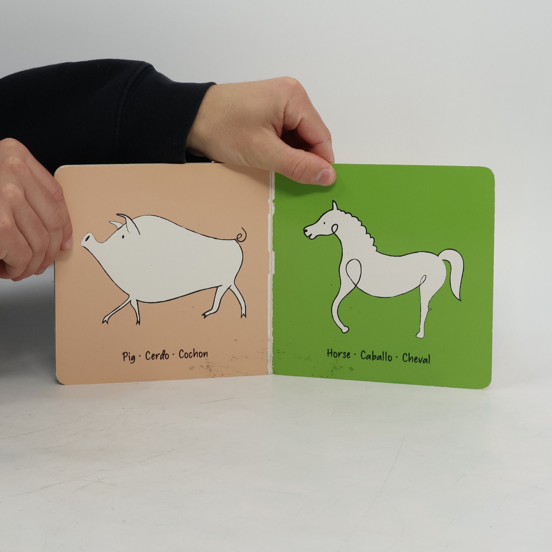 Picasso Picasso Animals