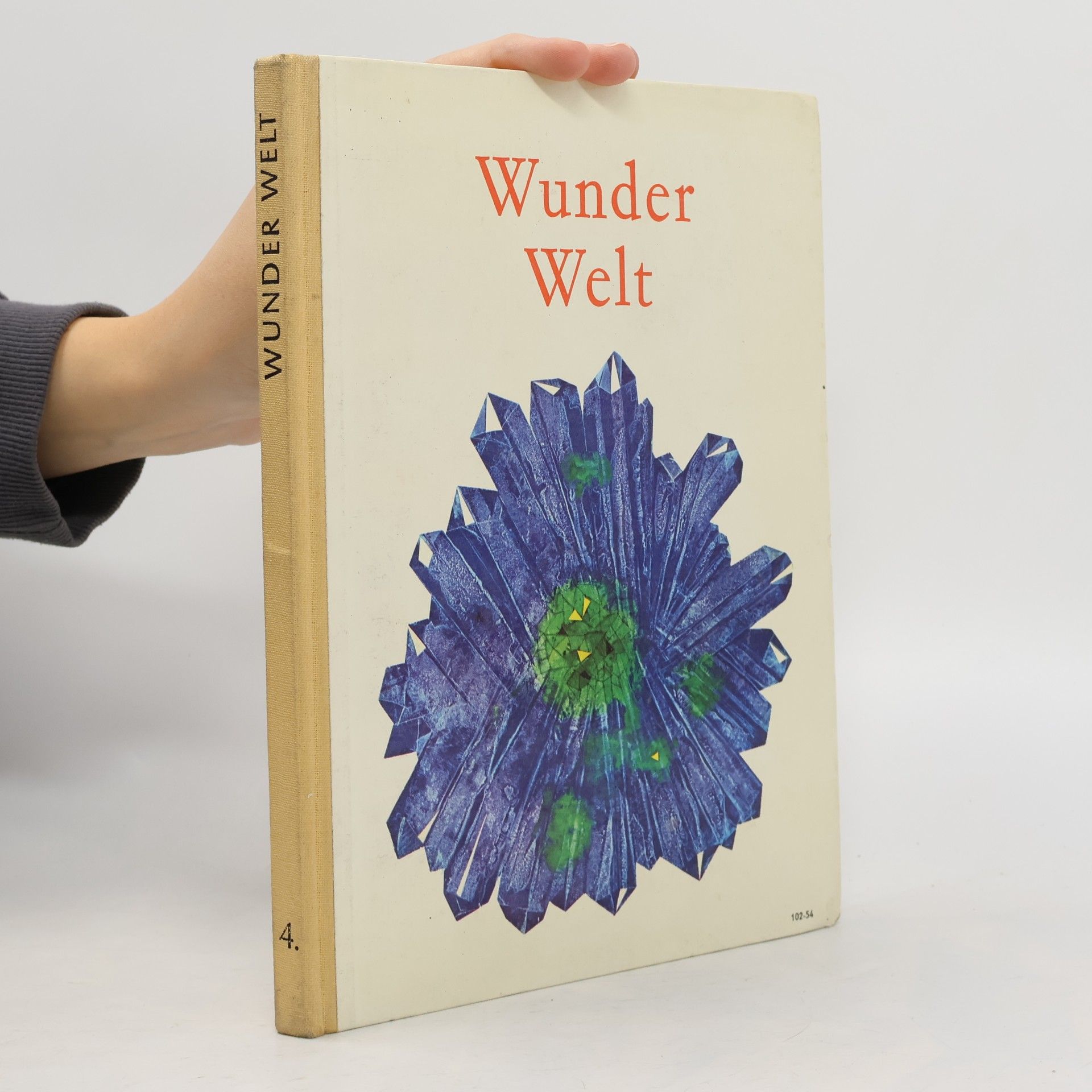 Wunder Welt 4