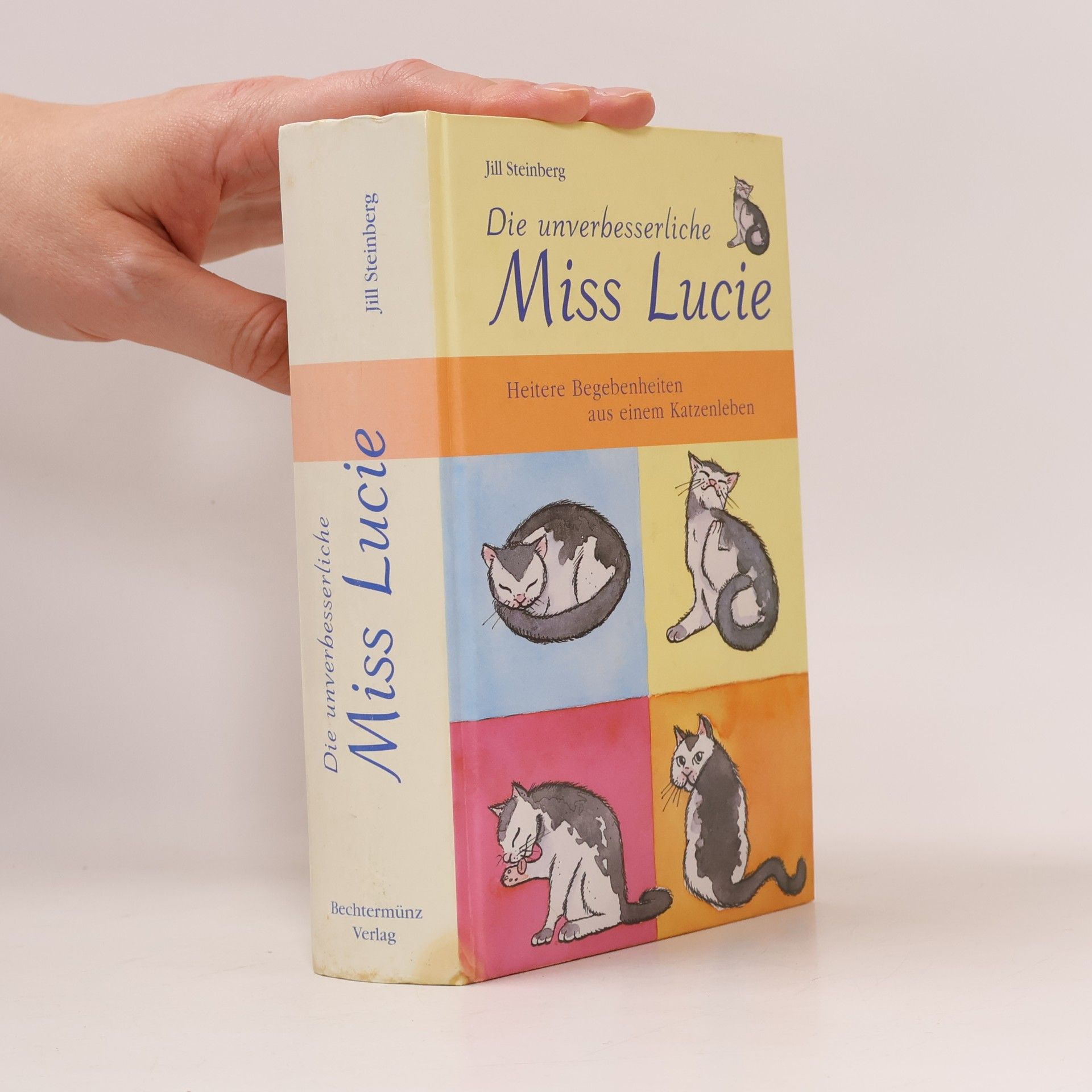 Jill Steinberg Die unverbesserliche Miss Lucie