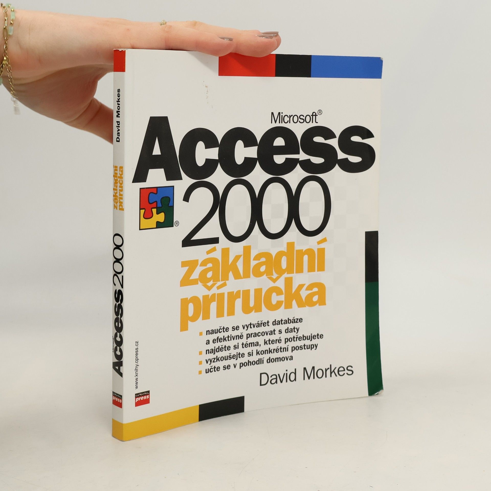 Microsoft Access 2000. Základní příručka
