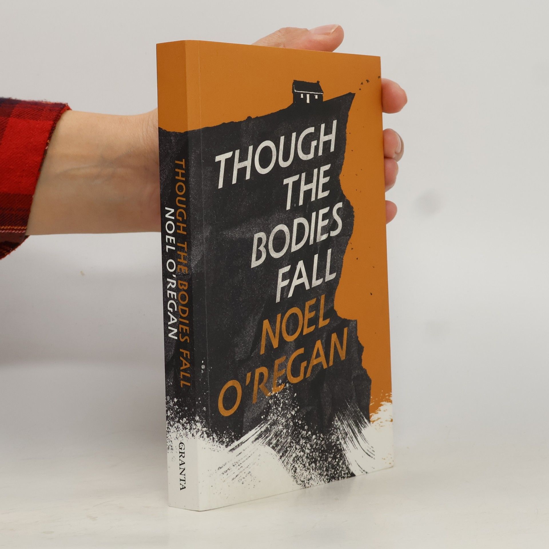 Noel O\'Regan Though the Bodies Fall