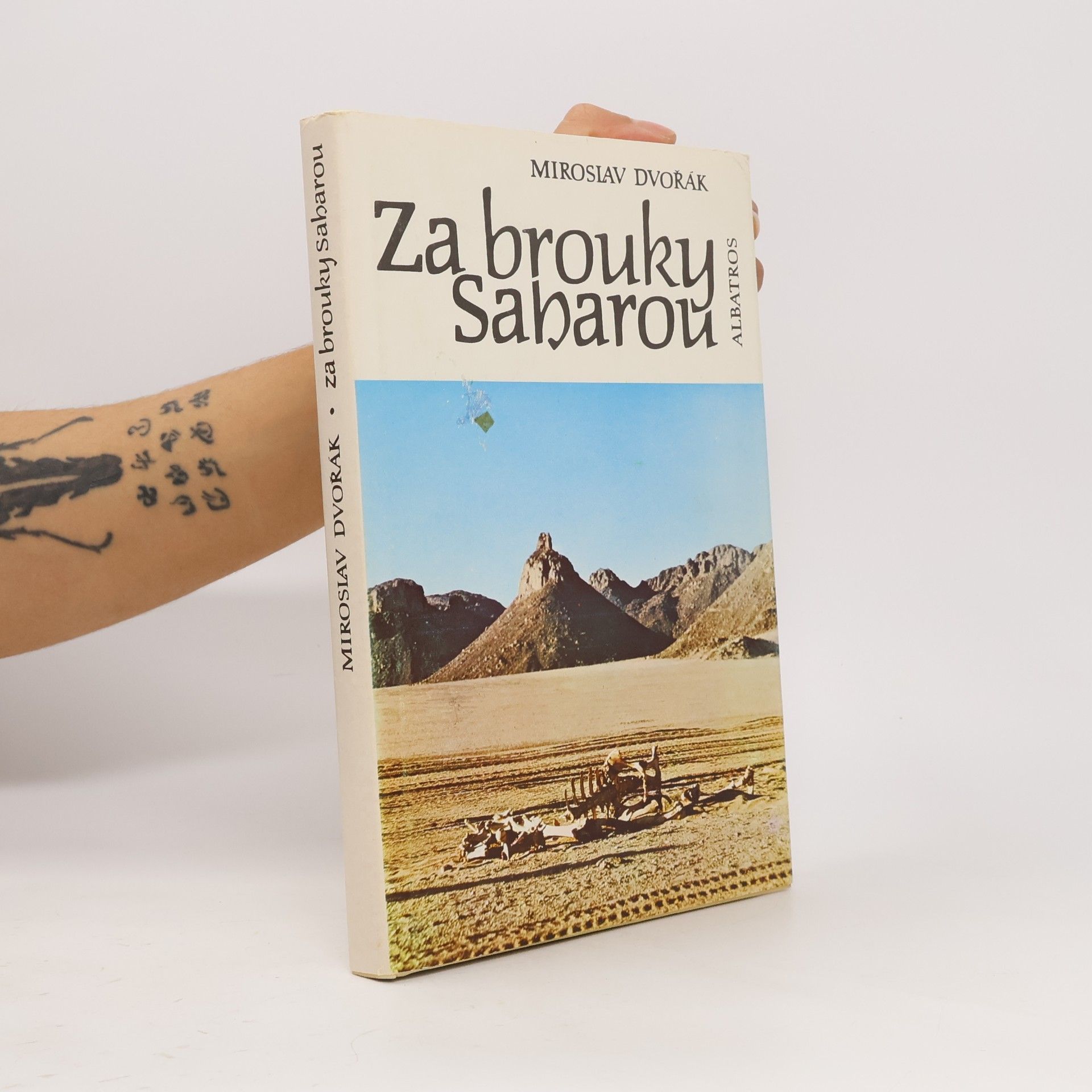 Za brouky Saharou