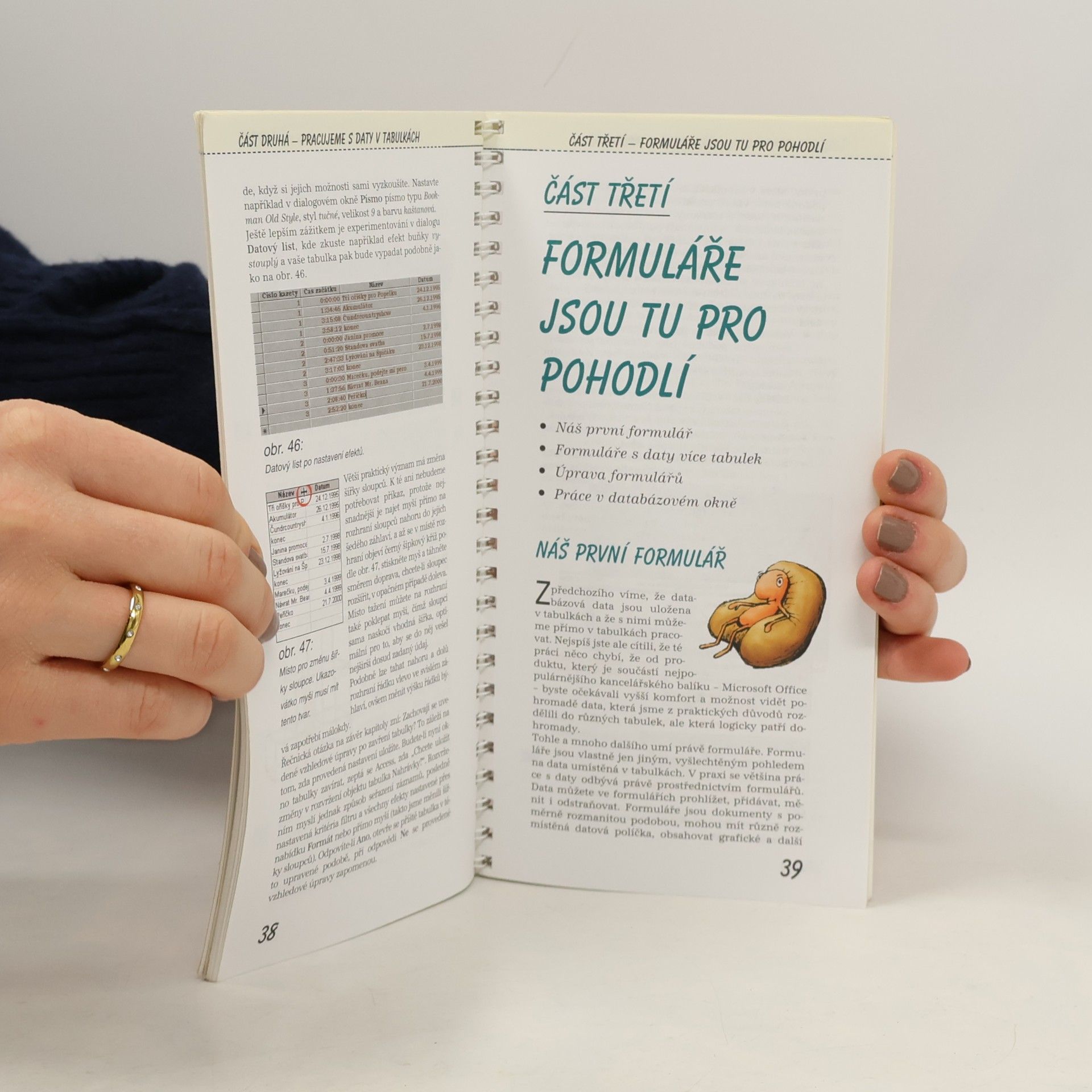 Ivo Magera Databáze v programu Access