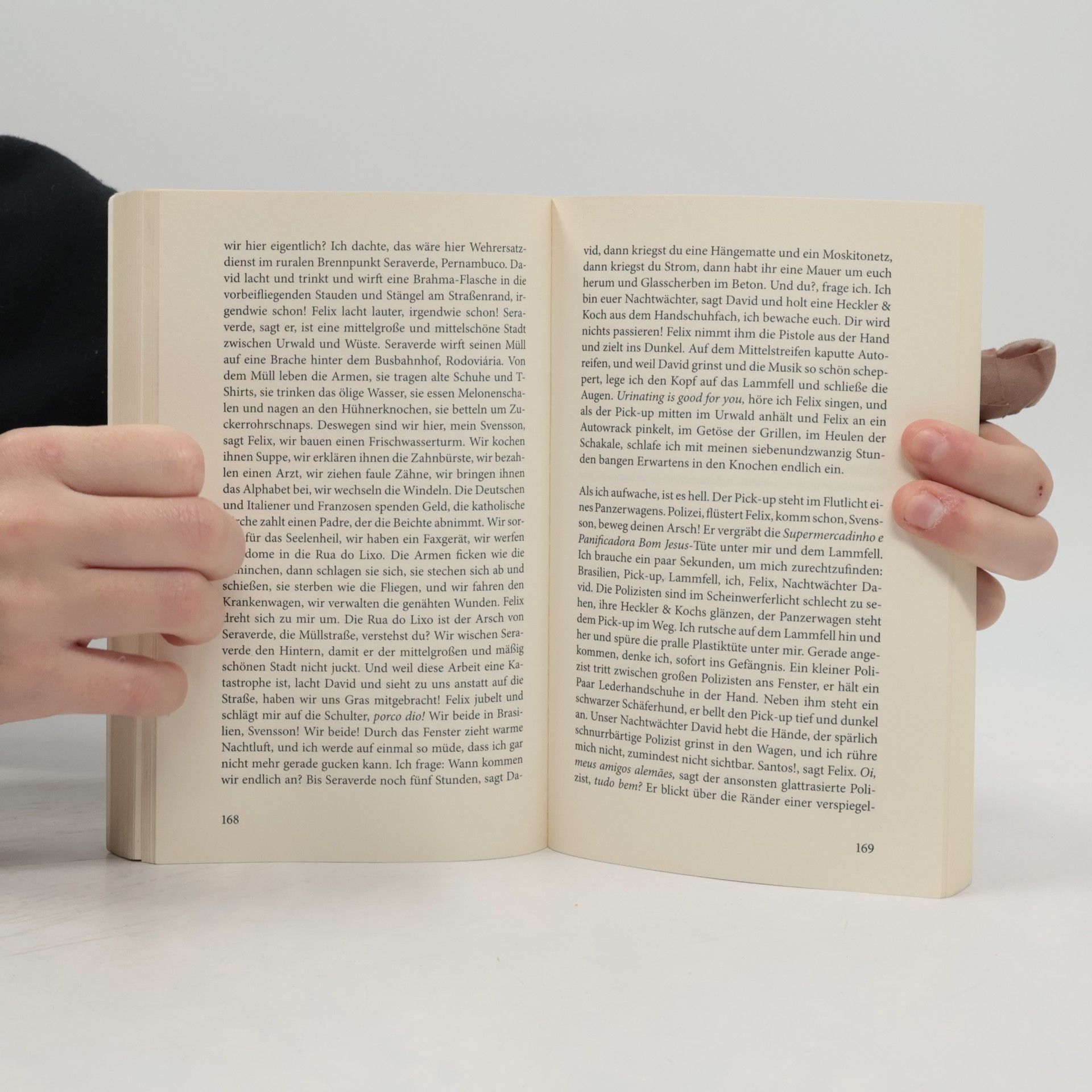 Thomas Pletzinger Bestattung eines Hundes