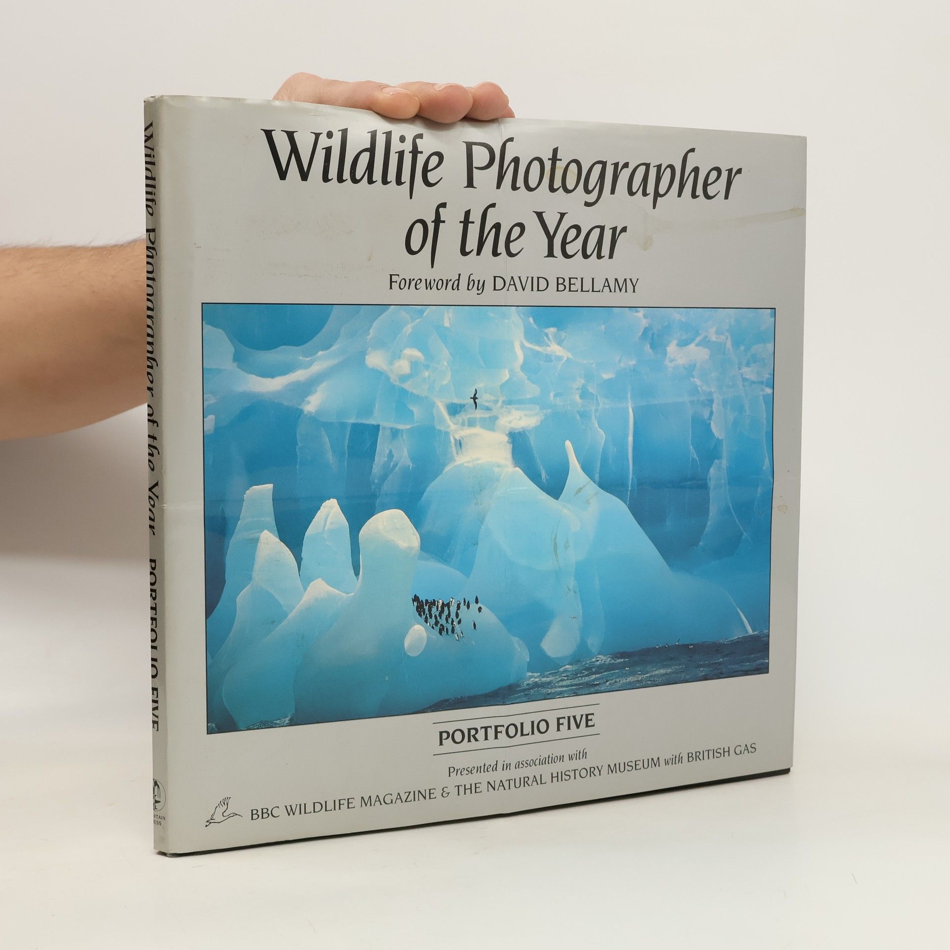 Cathy Wright Wildlife photographer of the year. Portfolio 5