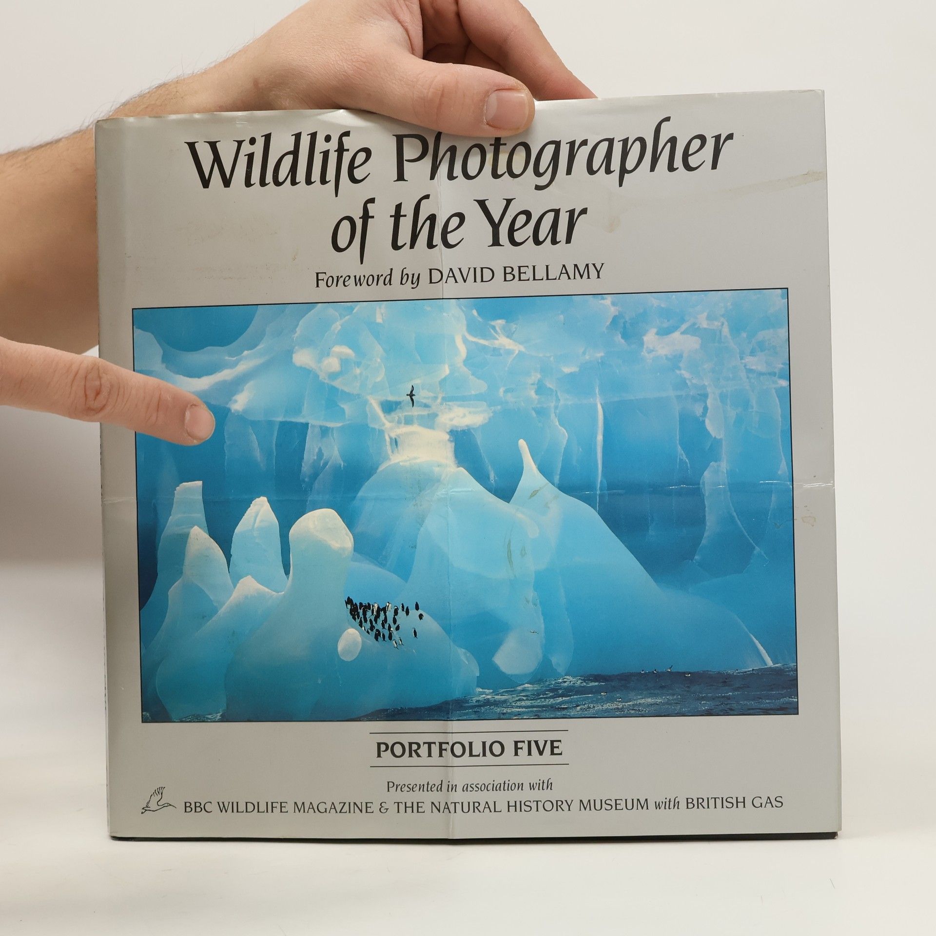 Cathy Wright Wildlife photographer of the year. Portfolio 5