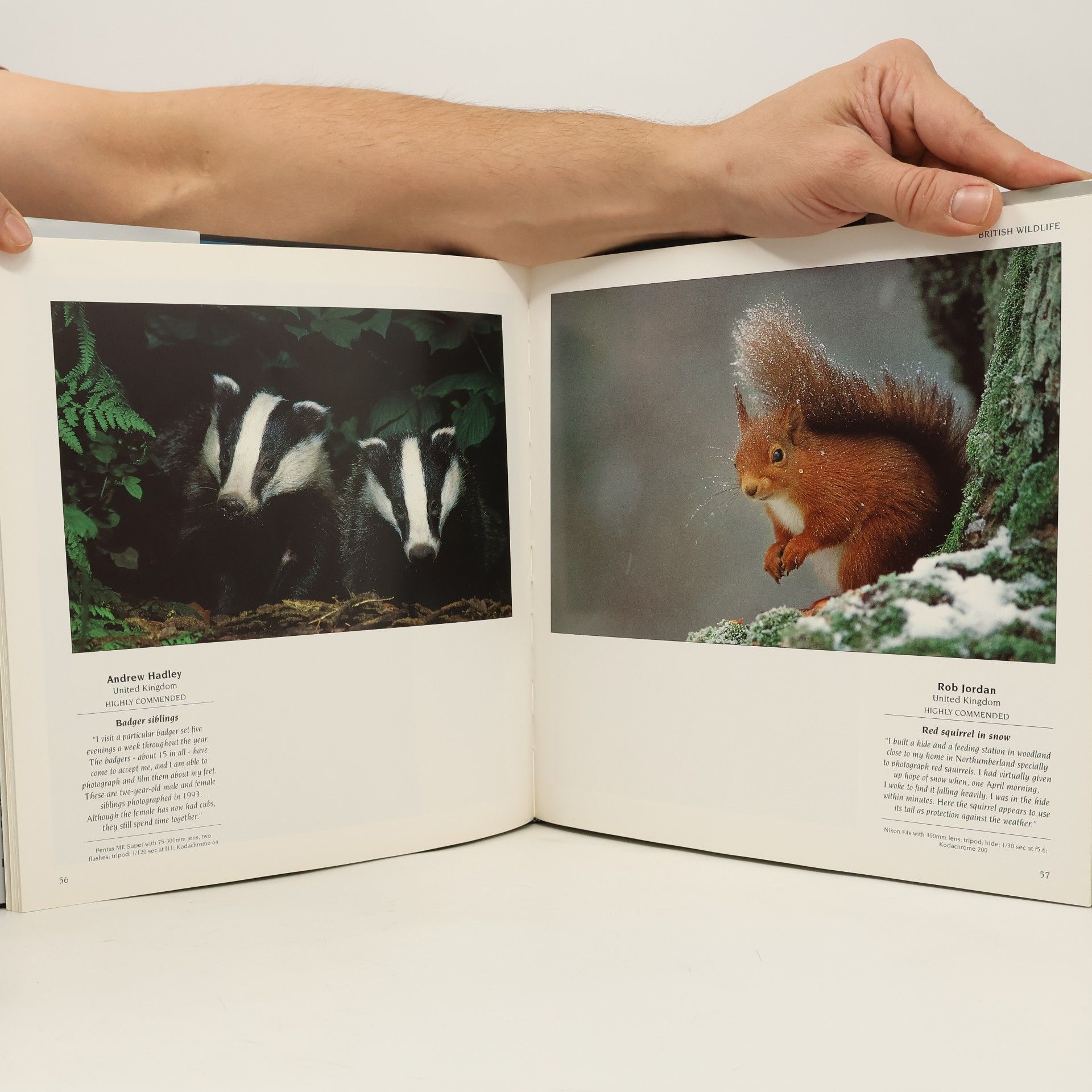Cathy Wright Wildlife photographer of the year. Portfolio 5