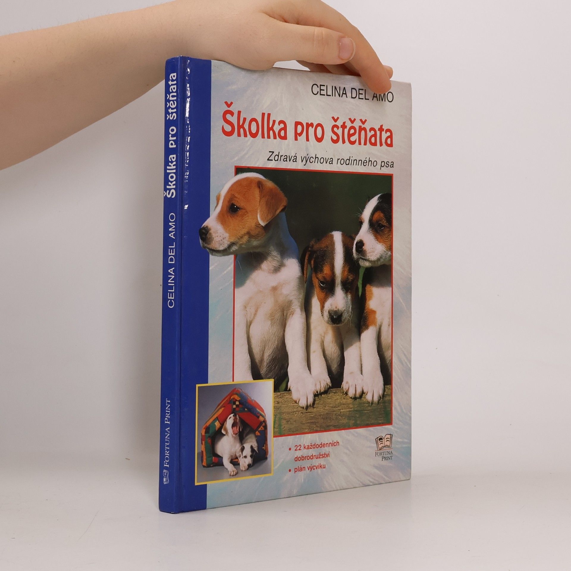 Školka pro štěňata: Zdravá výchova rodinného psa