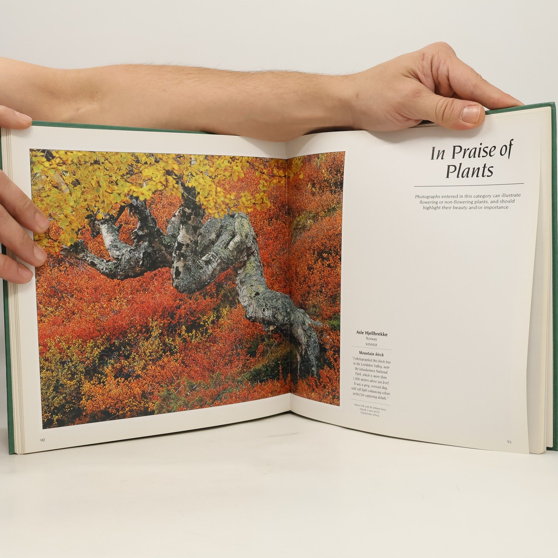 Peter Wilkinson Wildlife Photographer of the Year. Portfolio 4