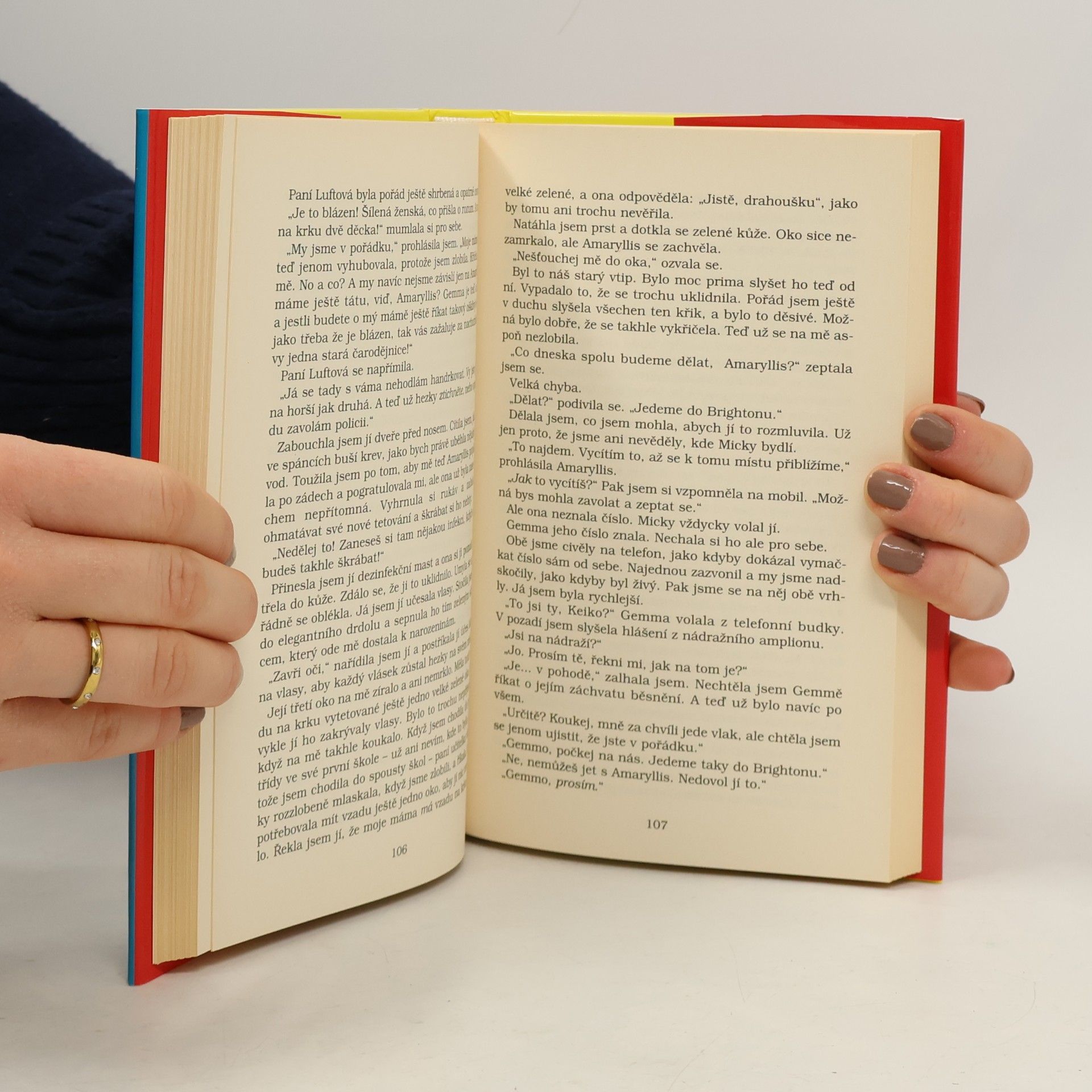 Jacqueline Wilson Ilustrovaná máma