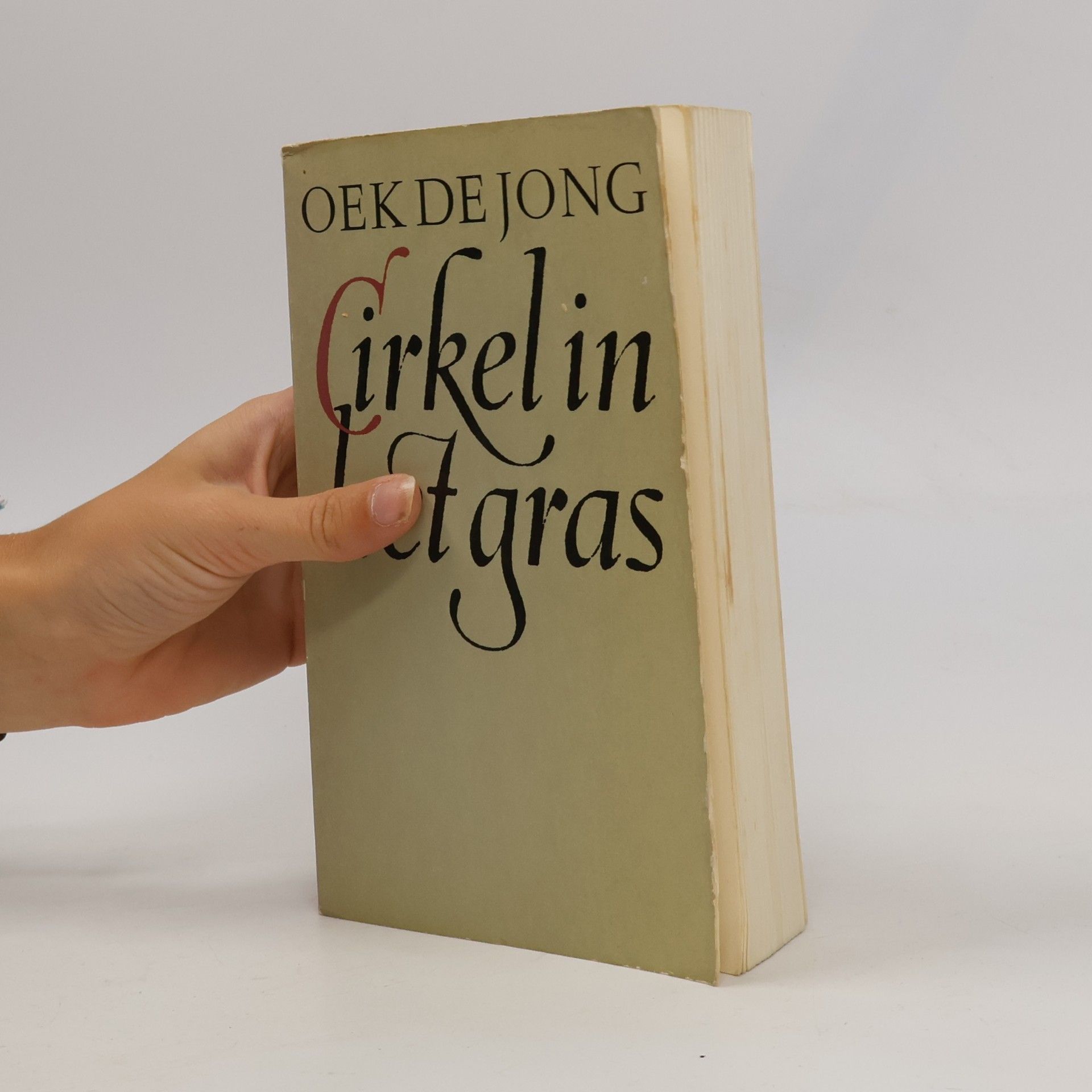 Oek de Jong Cirkel in het gras
