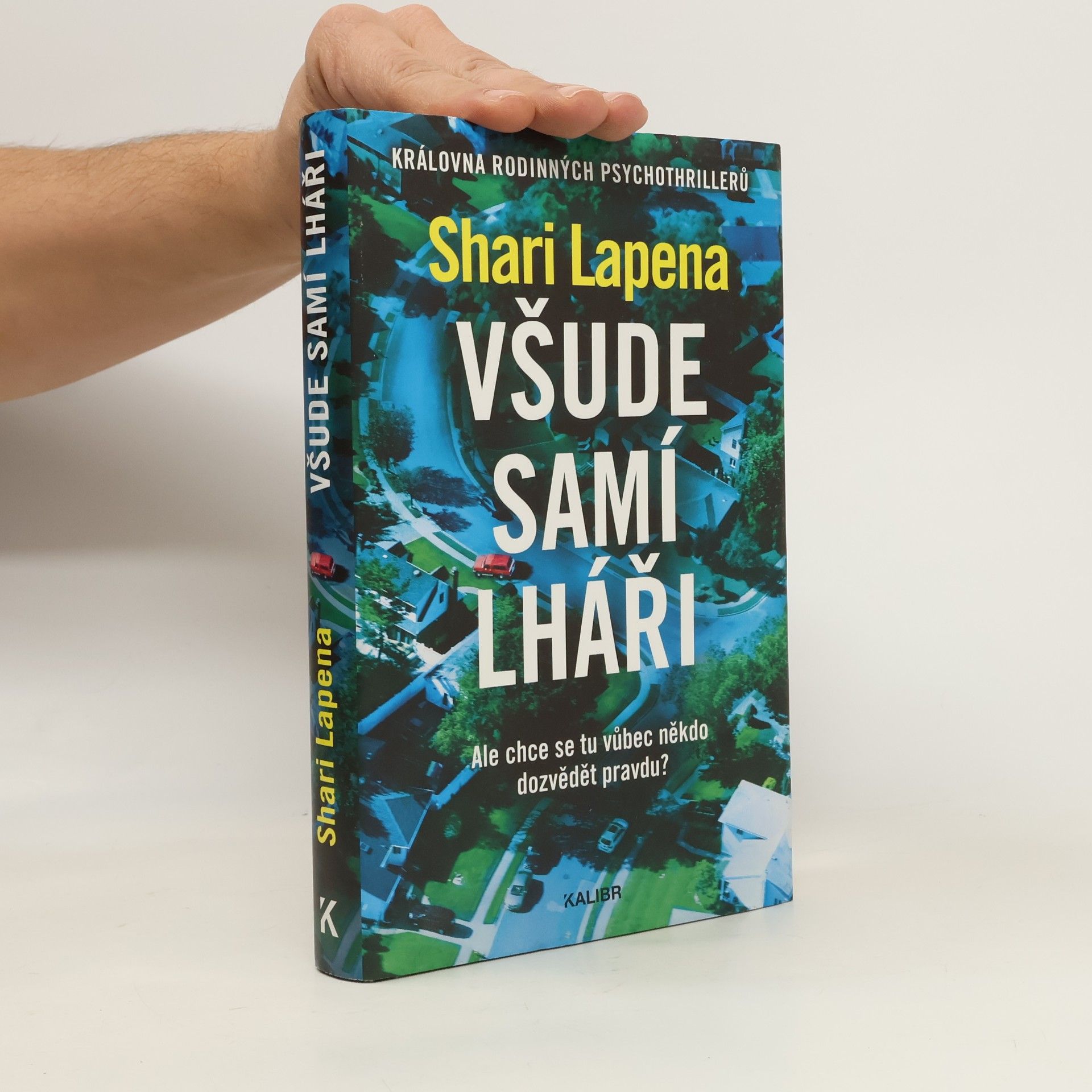 Shari Lapena Všude samí lháři