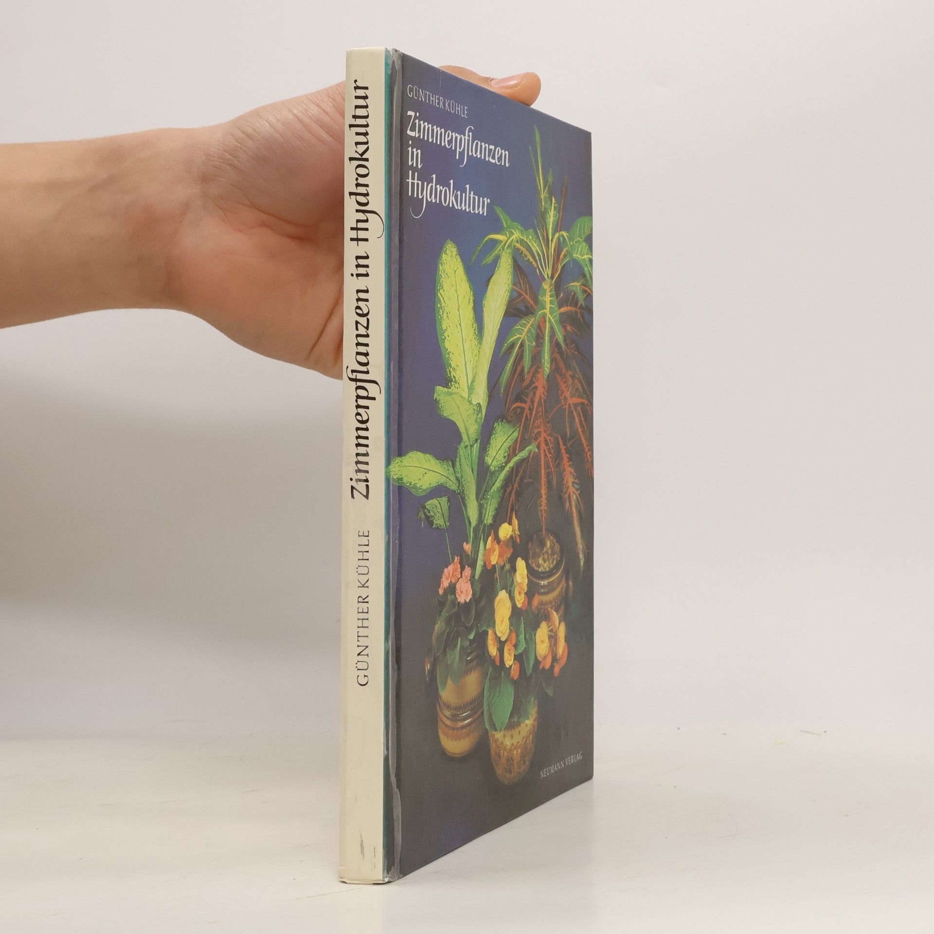Günther Kühle Zimmerpflanzen in Hydrokultur