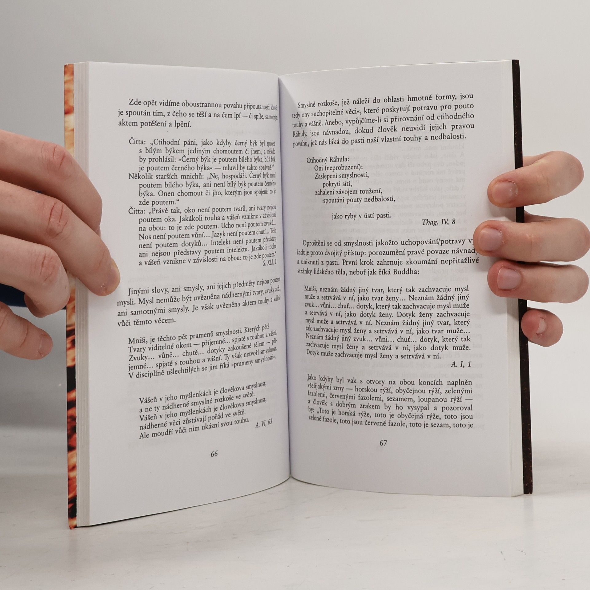 Thánissaró Bhikkhu Mysl odpoutaná jako oheň: Symbolika raných buddhistických textů